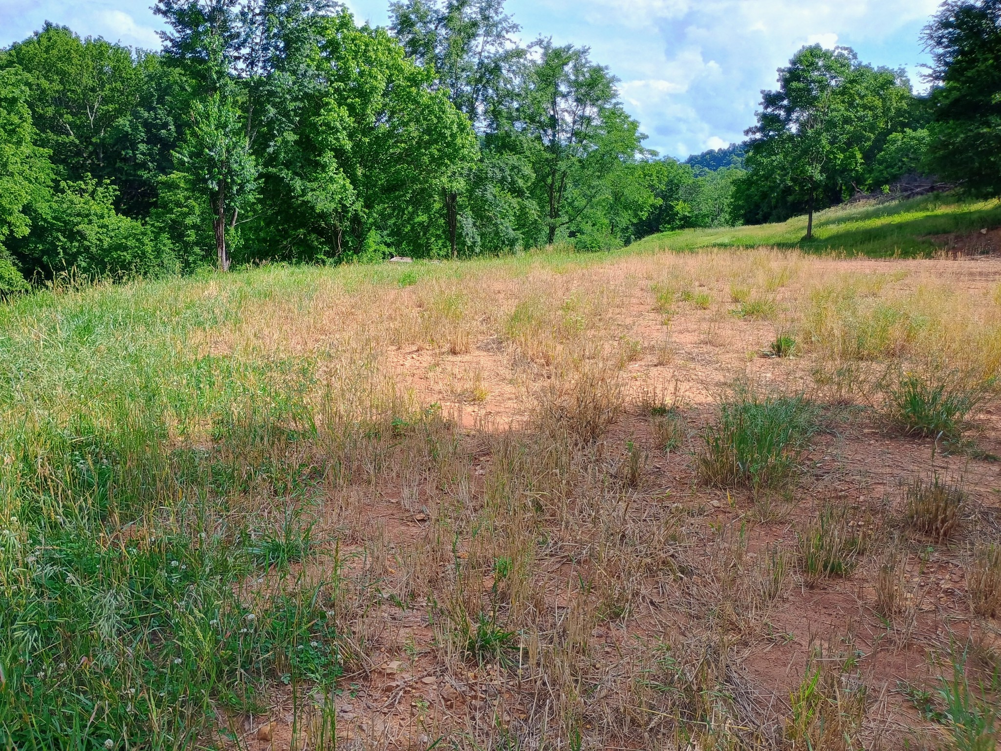 2847 Sorrells Property Photo 14