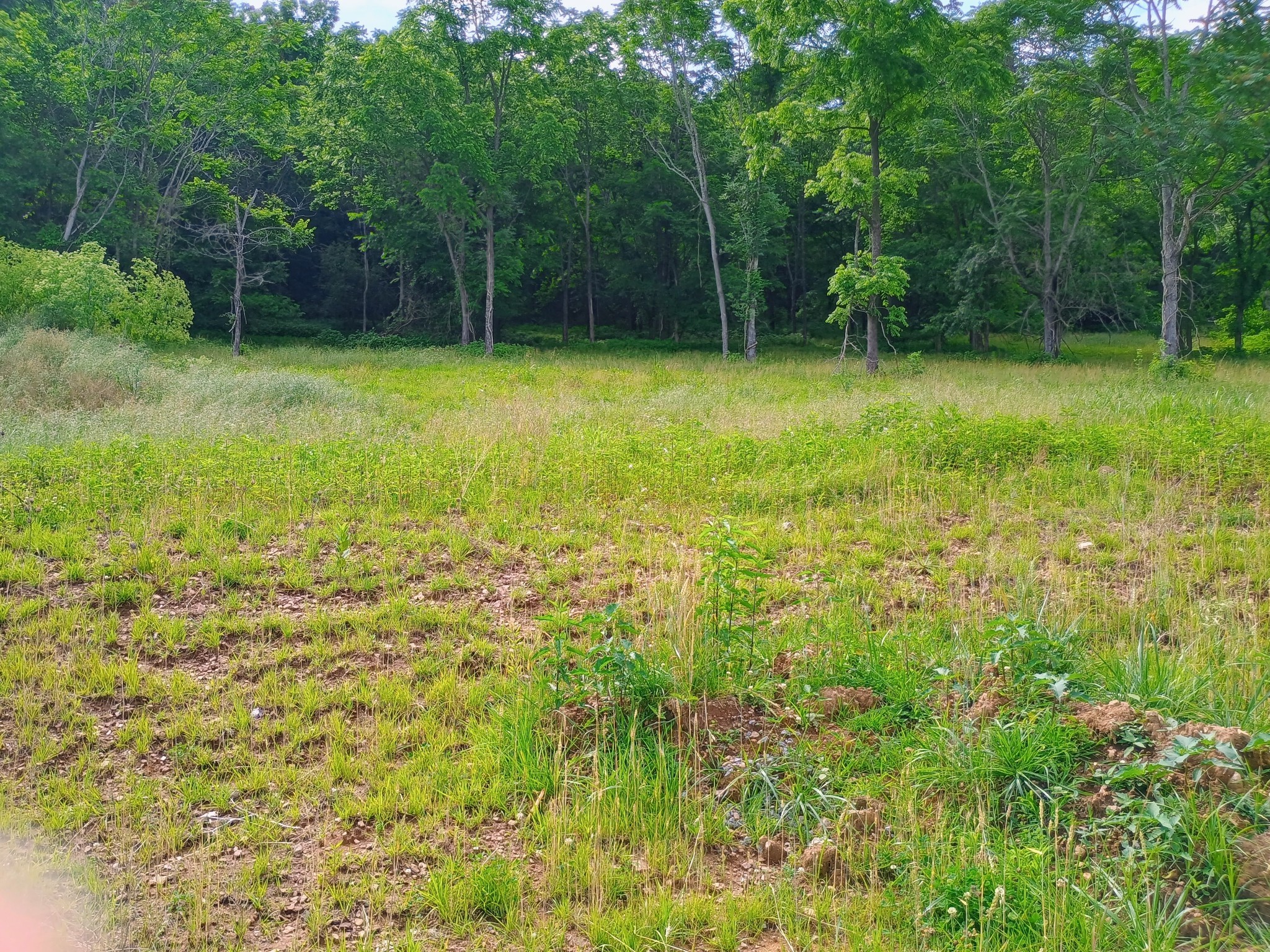 2847 Sorrells Property Photo 20