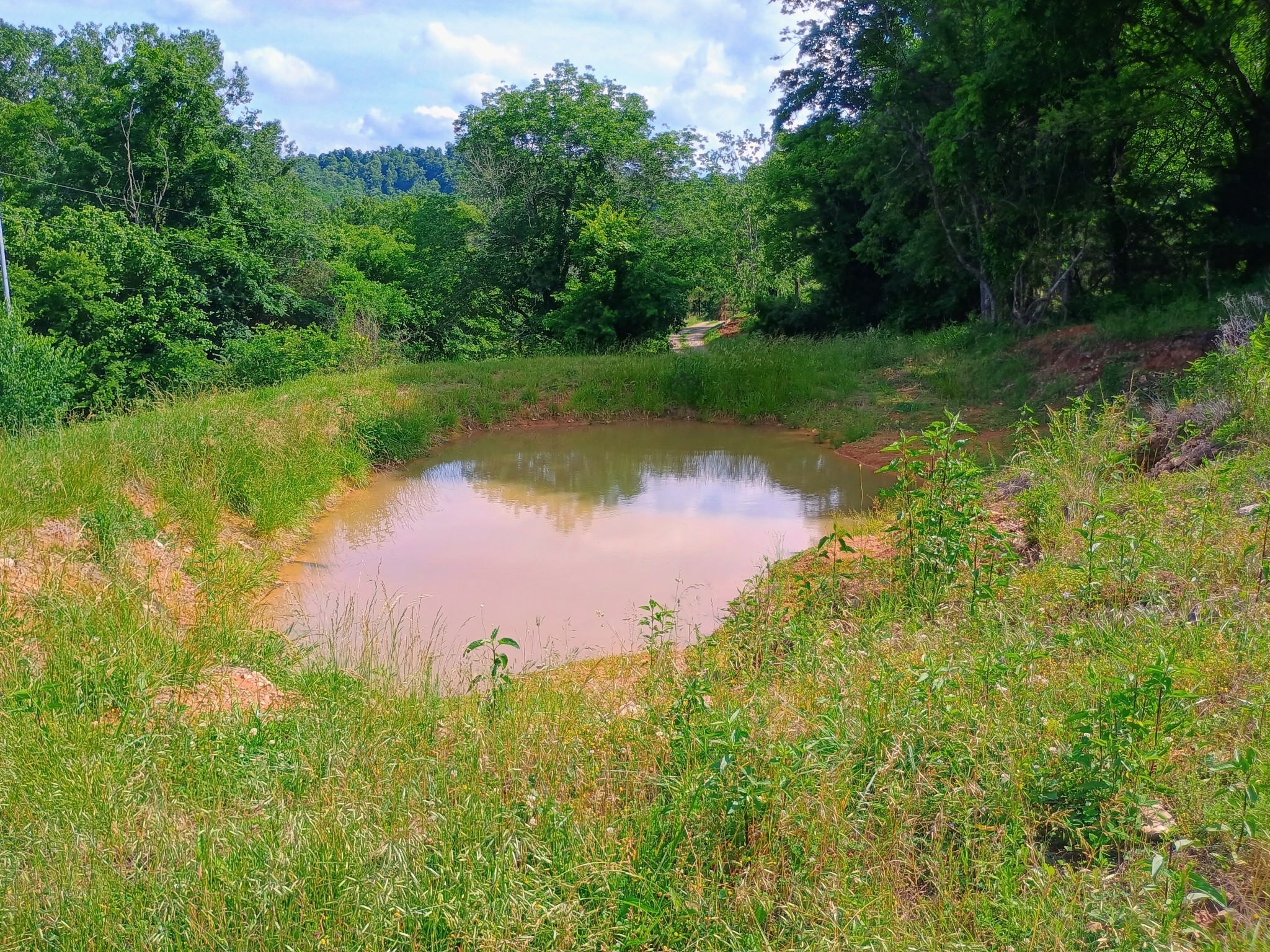 2847 Sorrells Property Photo 23