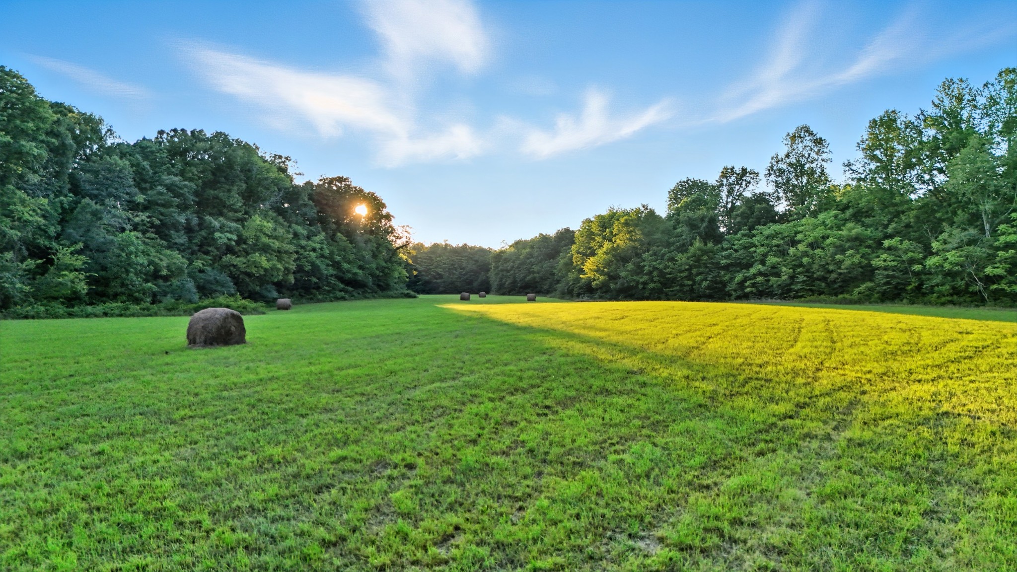 0 Pea Ridge Rd Property Photo 3