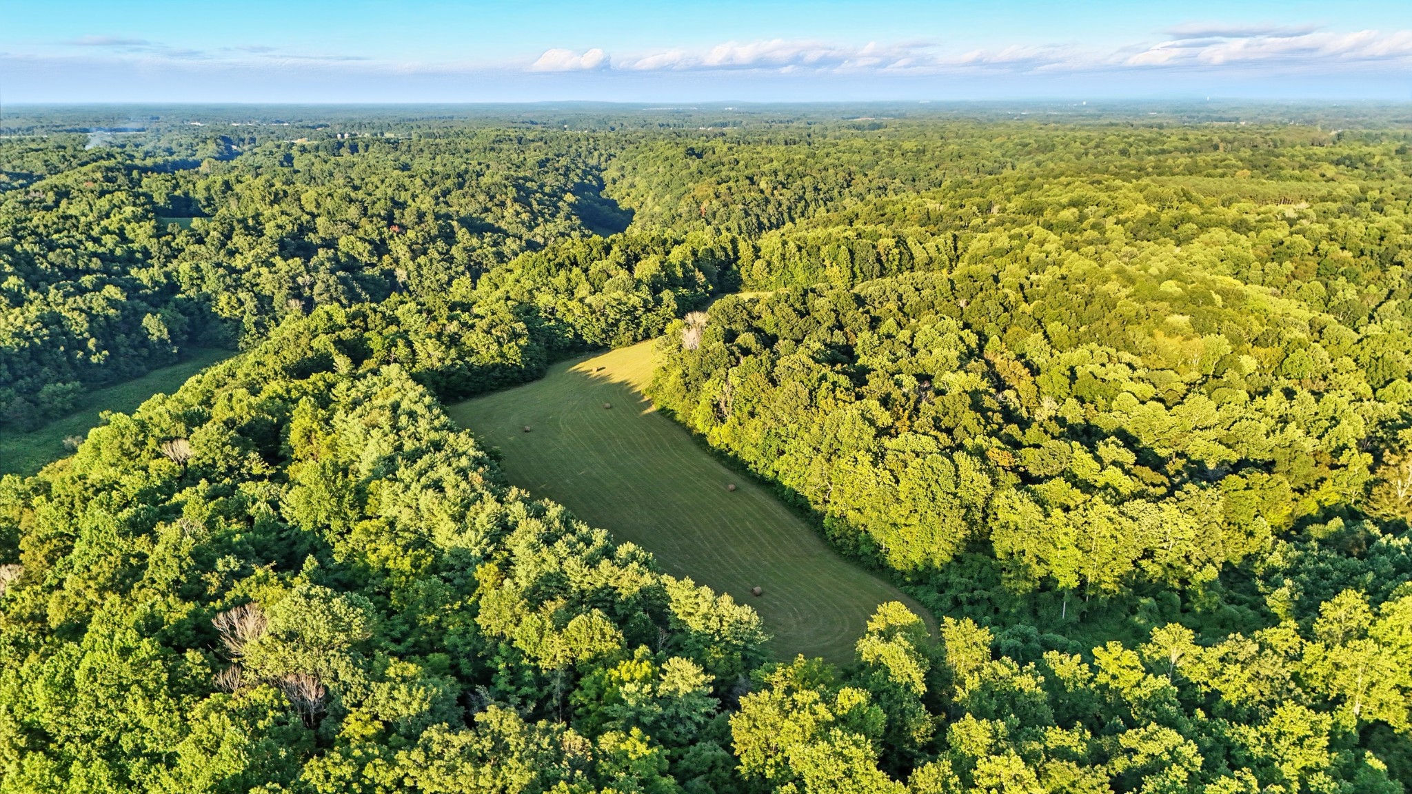 0 Pea Ridge Rd Property Photo 4