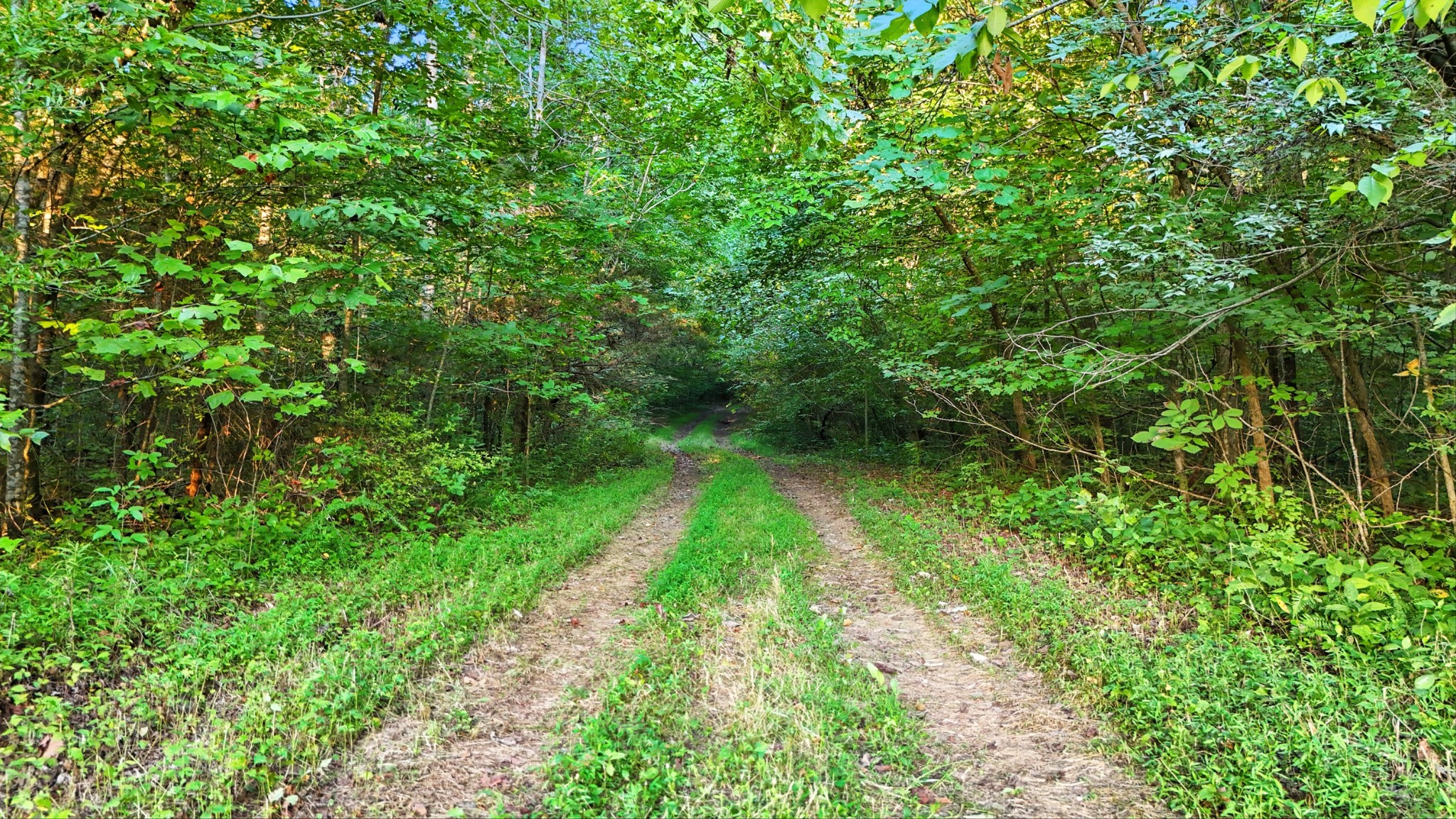 0 Pea Ridge Rd Property Photo 5