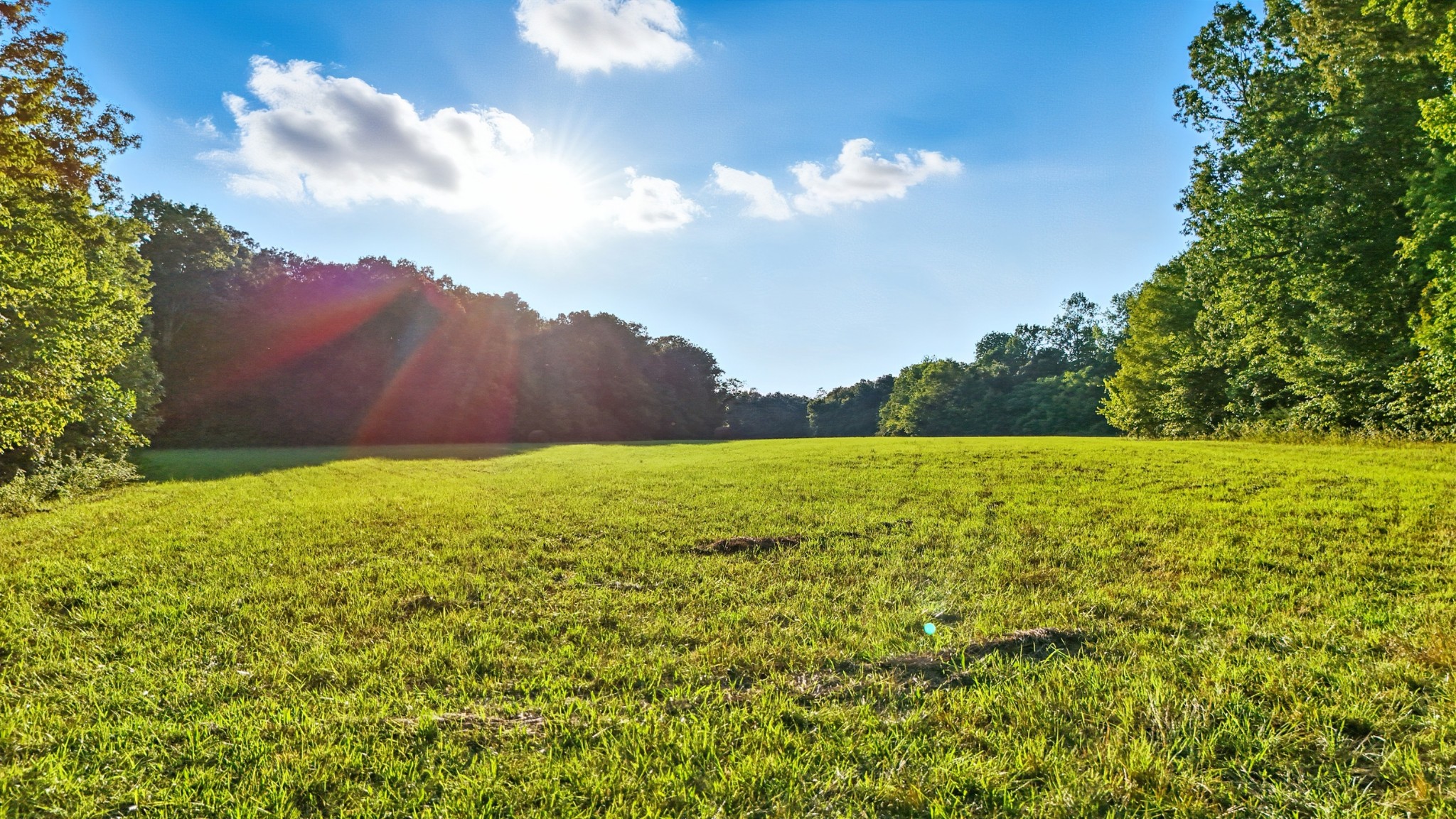 0 Pea Ridge Rd Property Photo 7