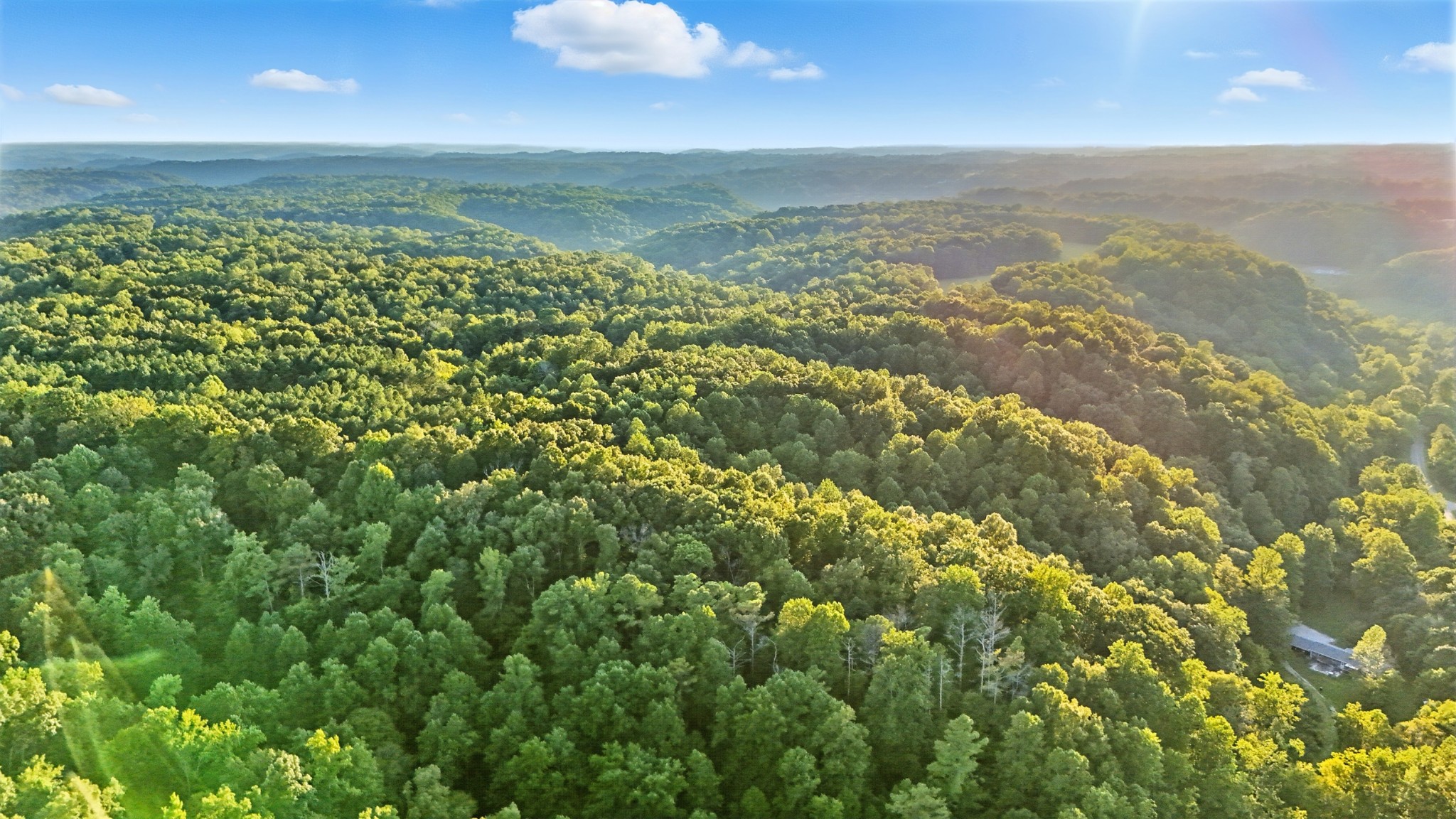 0 Pea Ridge Rd Property Photo 8