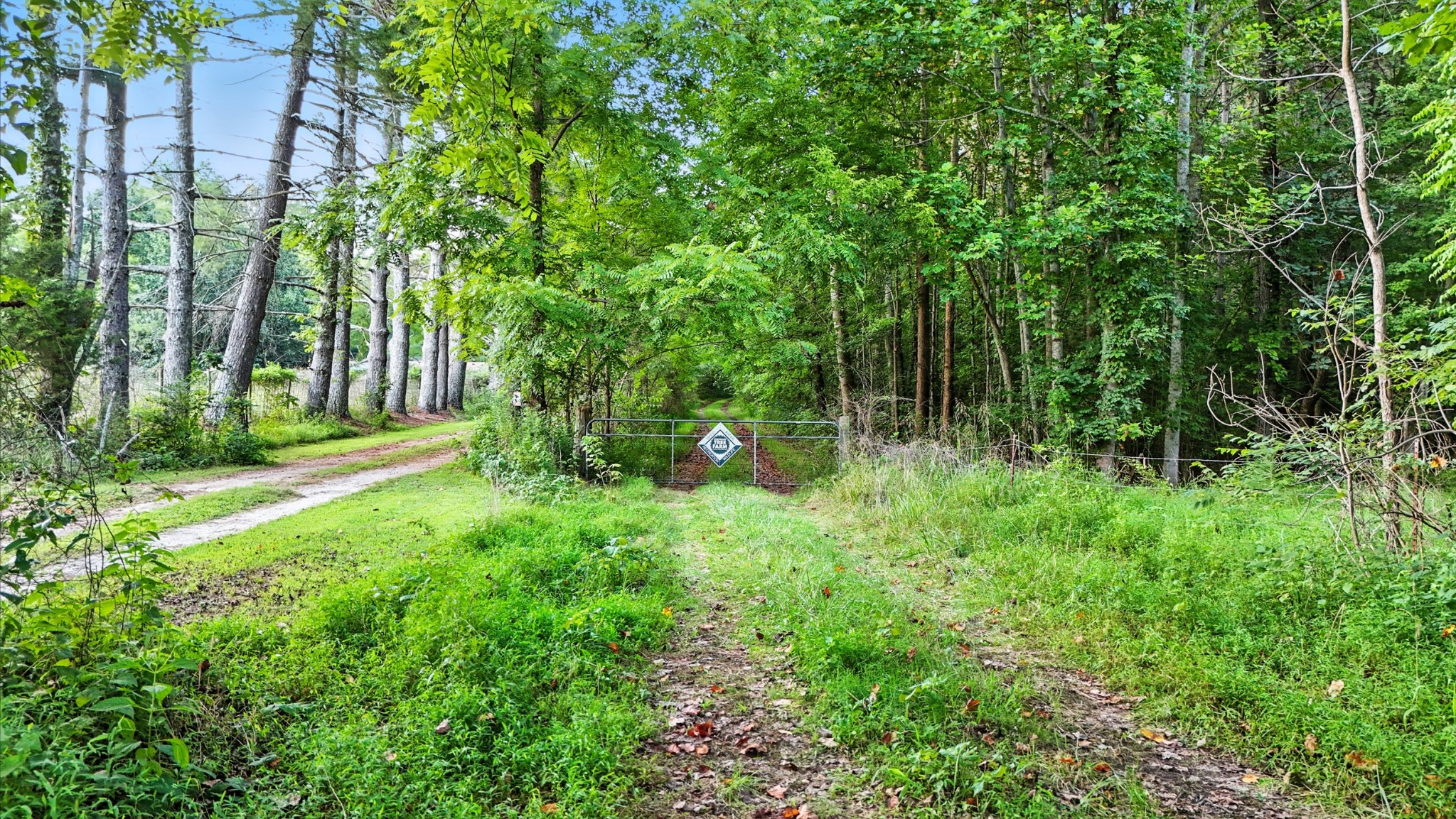 0 Pea Ridge Rd Property Photo 11