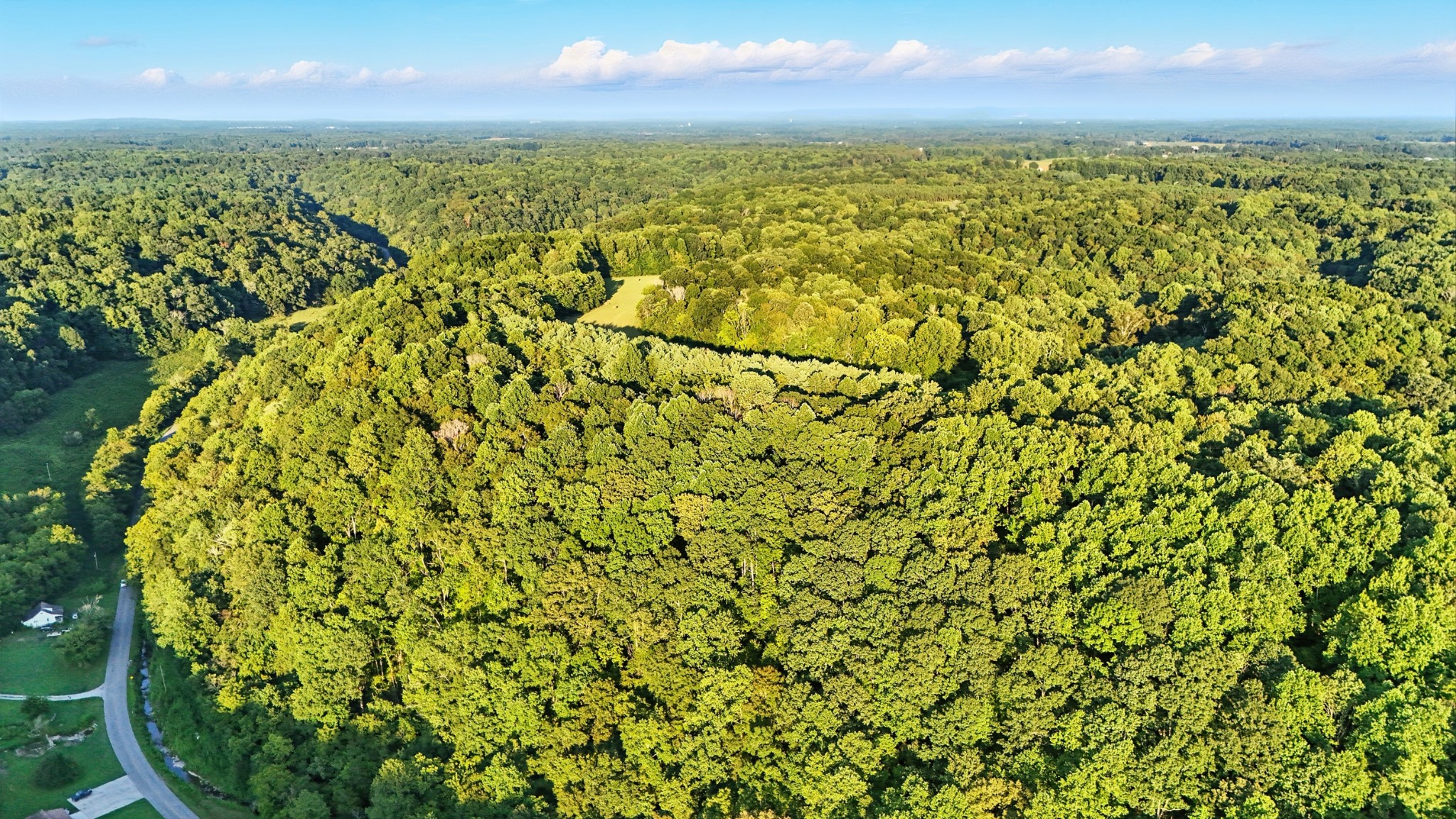 0 Pea Ridge Rd Property Photo 13