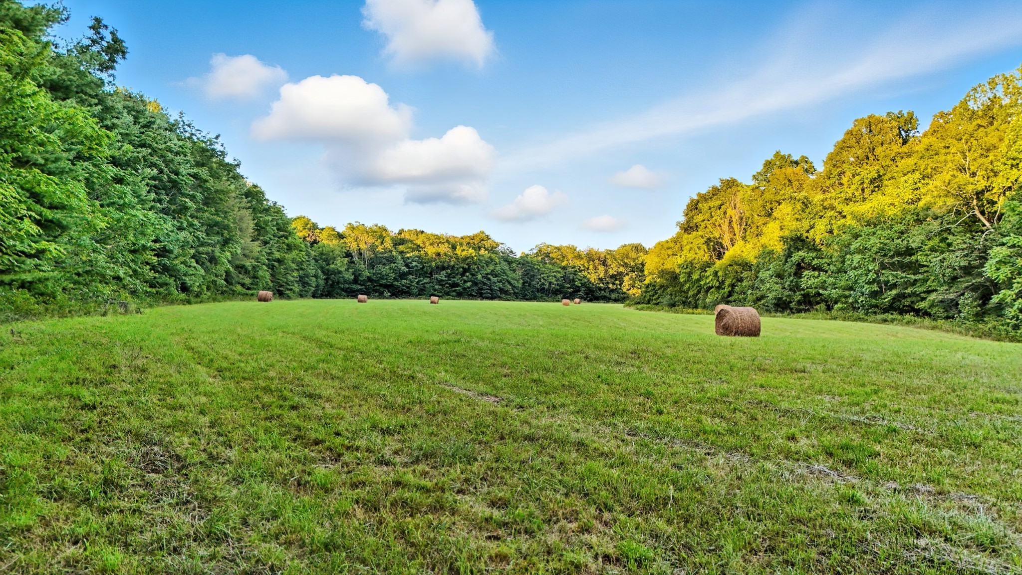 0 Pea Ridge Rd Property Photo 15