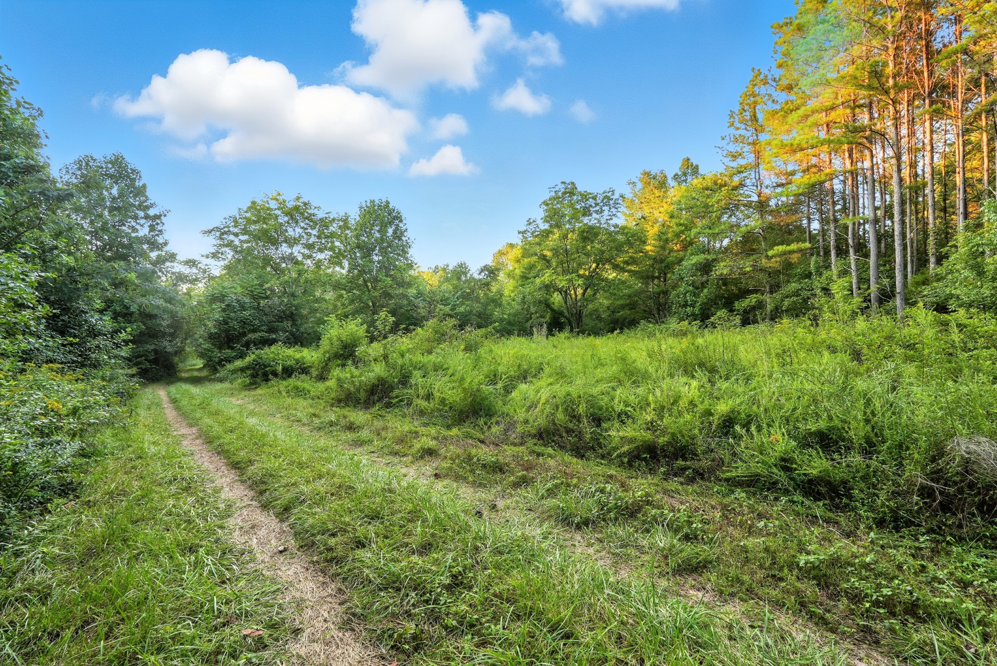 0 Pea Ridge Rd Property Photo 18