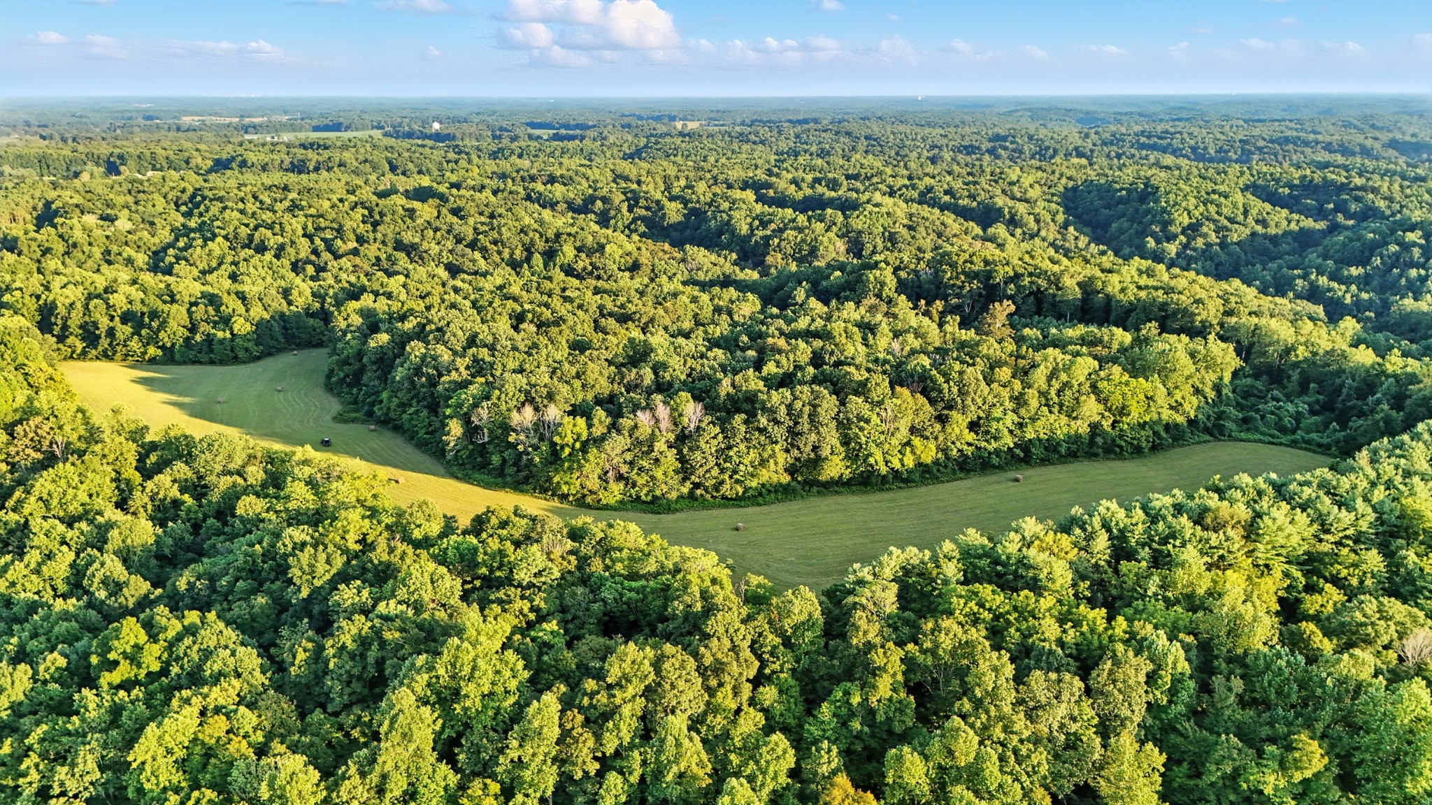 0 Pea Ridge Rd Property Photo 19