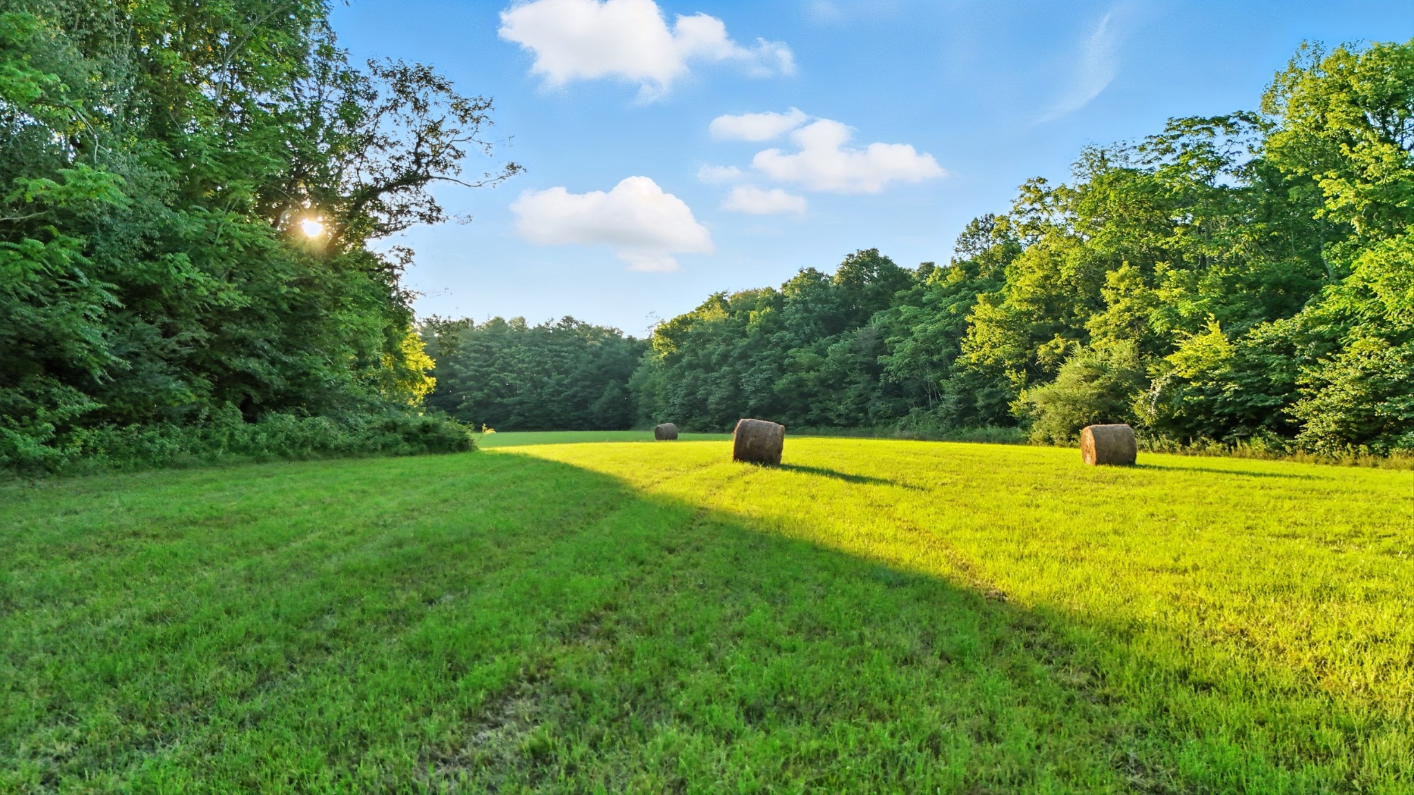 0 Pea Ridge Rd Property Photo 21