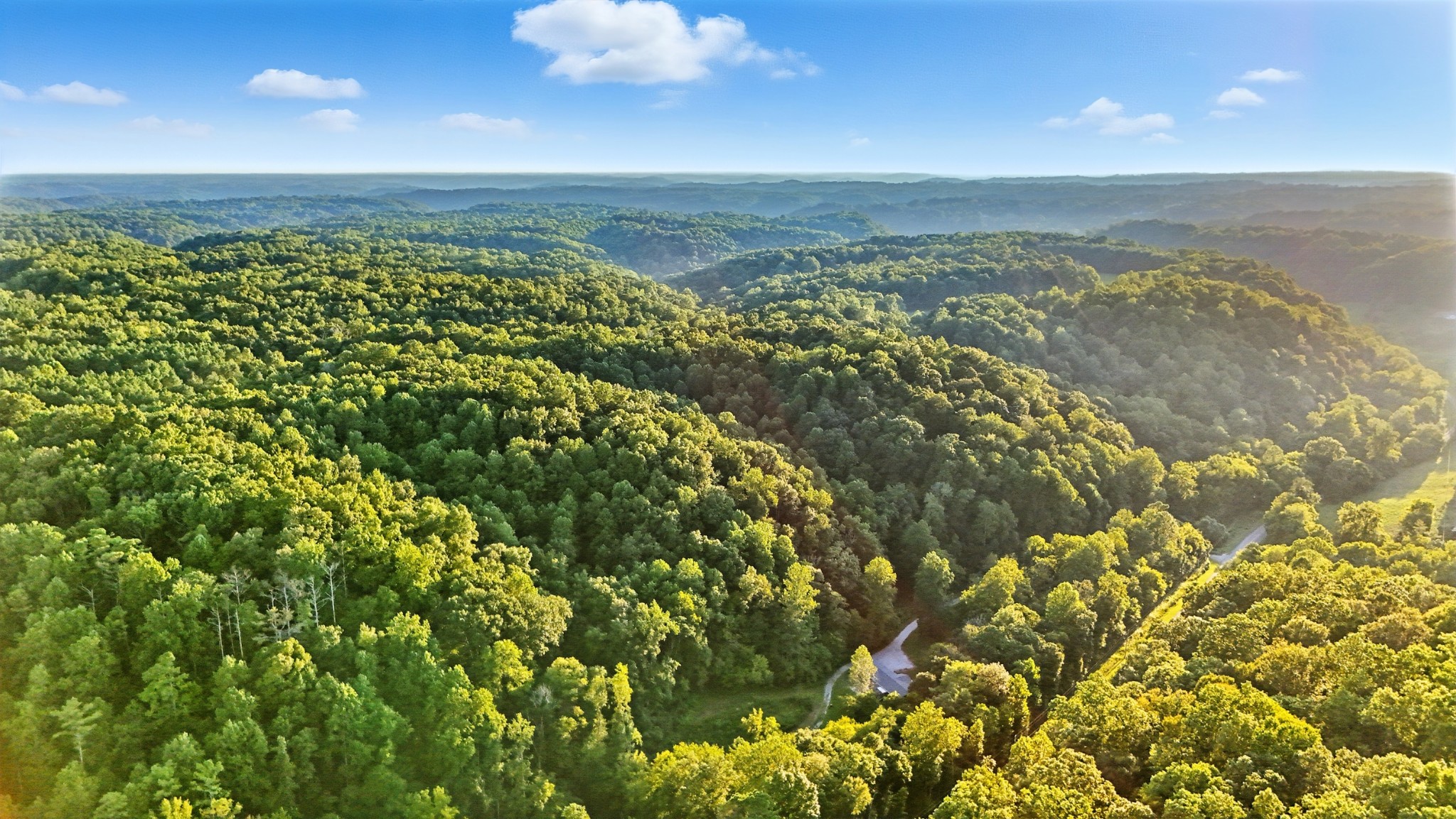 0 Pea Ridge Rd Property Photo 22