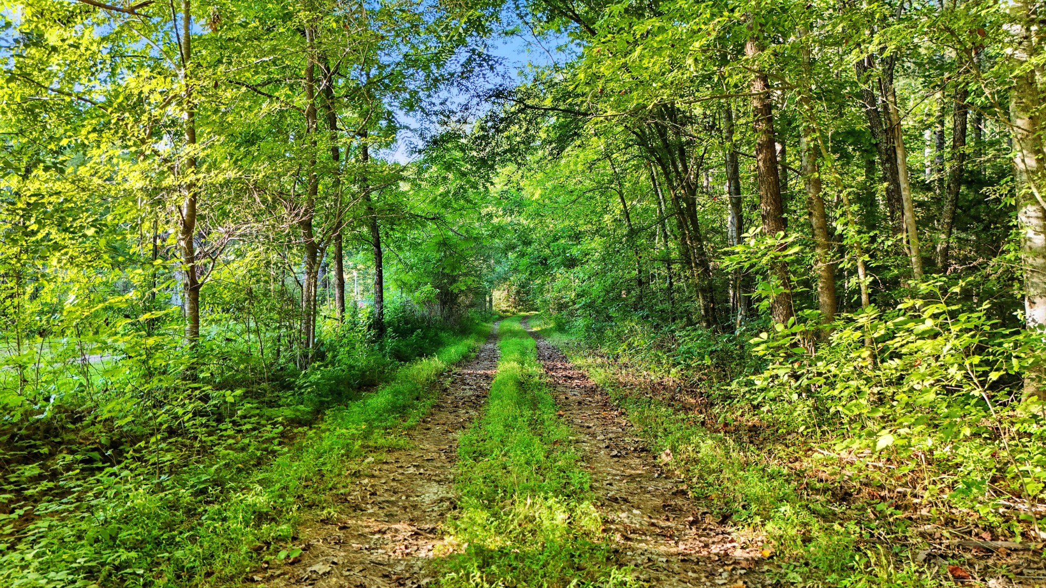 0 Pea Ridge Rd Property Photo 23