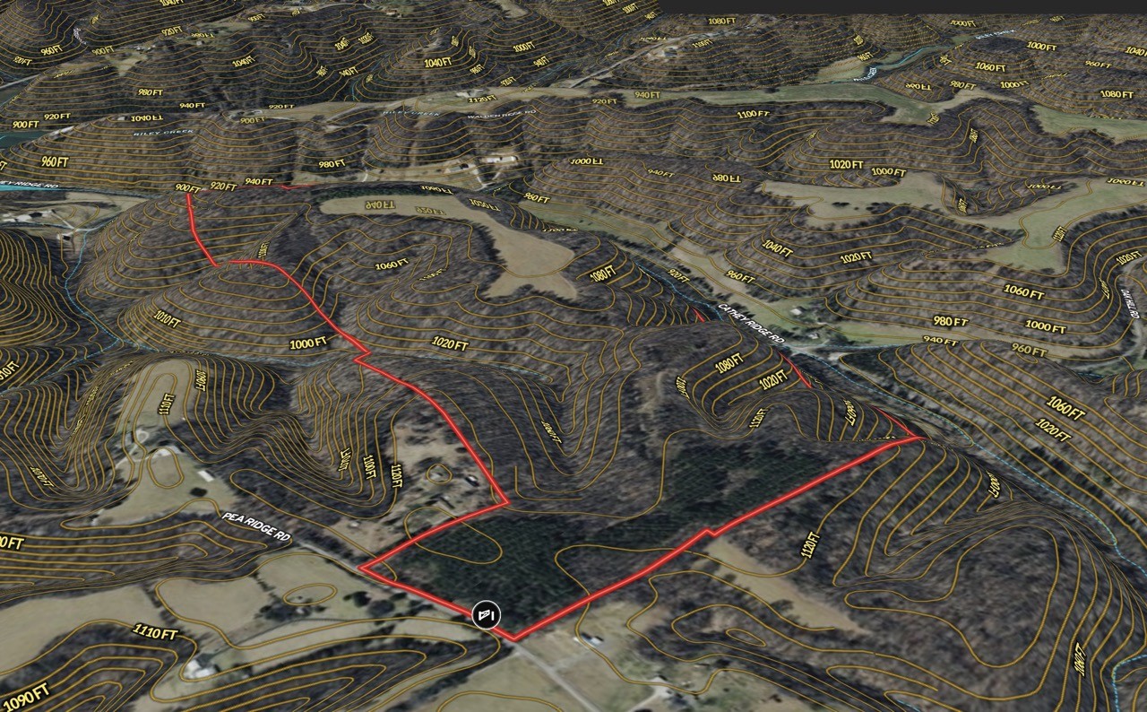 0 Pea Ridge Rd Property Photo 26