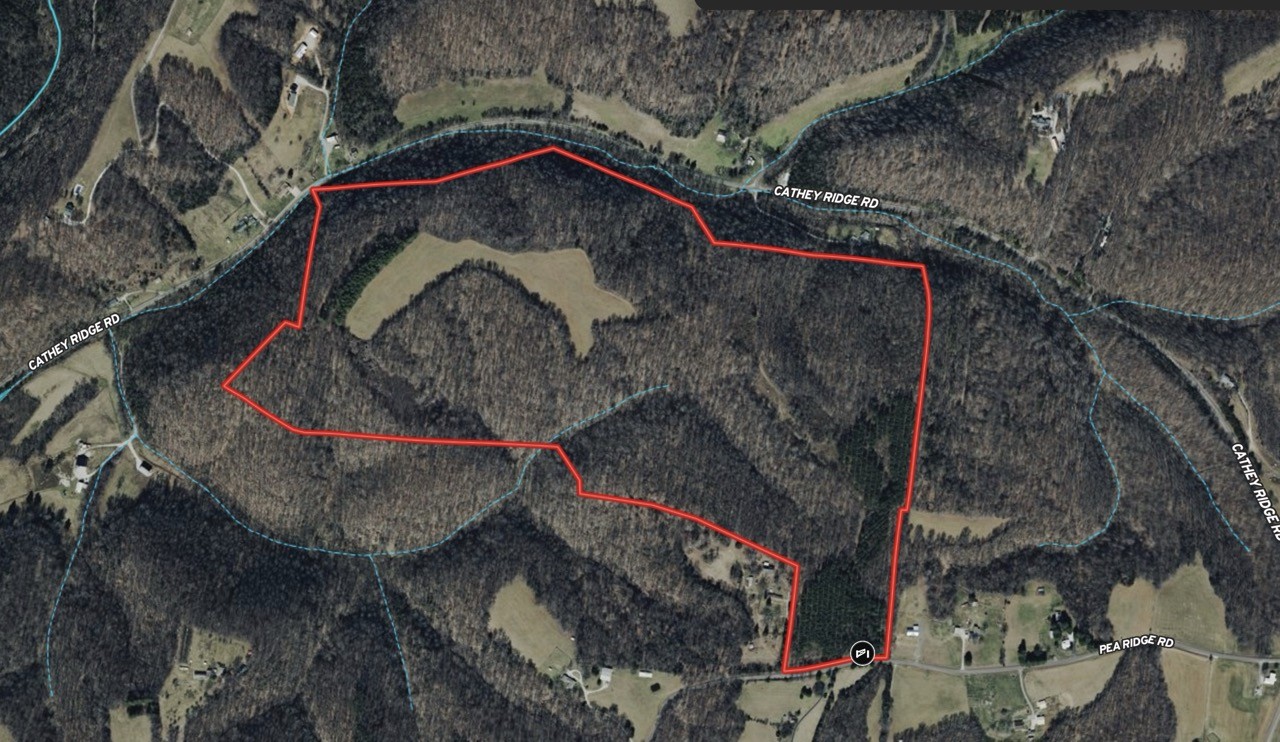 0 Pea Ridge Rd Property Photo 27