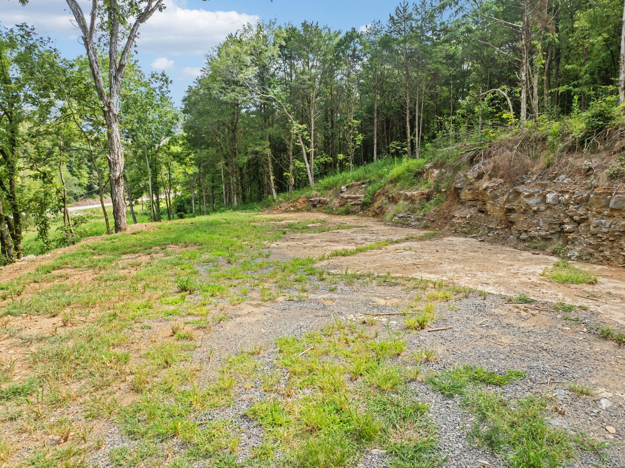 0 Stonewall Hwy Property Photo 6