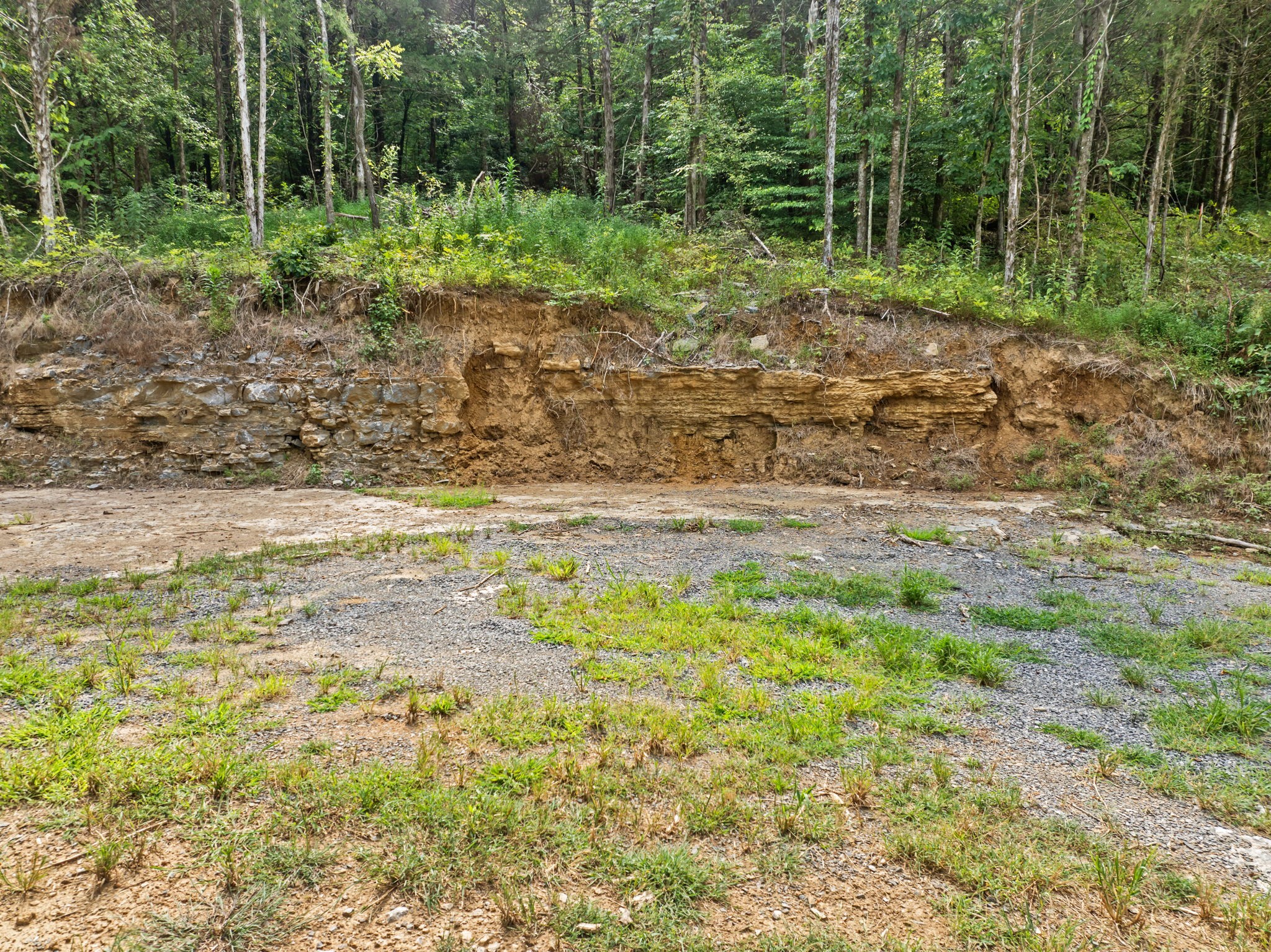 0 Stonewall Hwy Property Photo 16