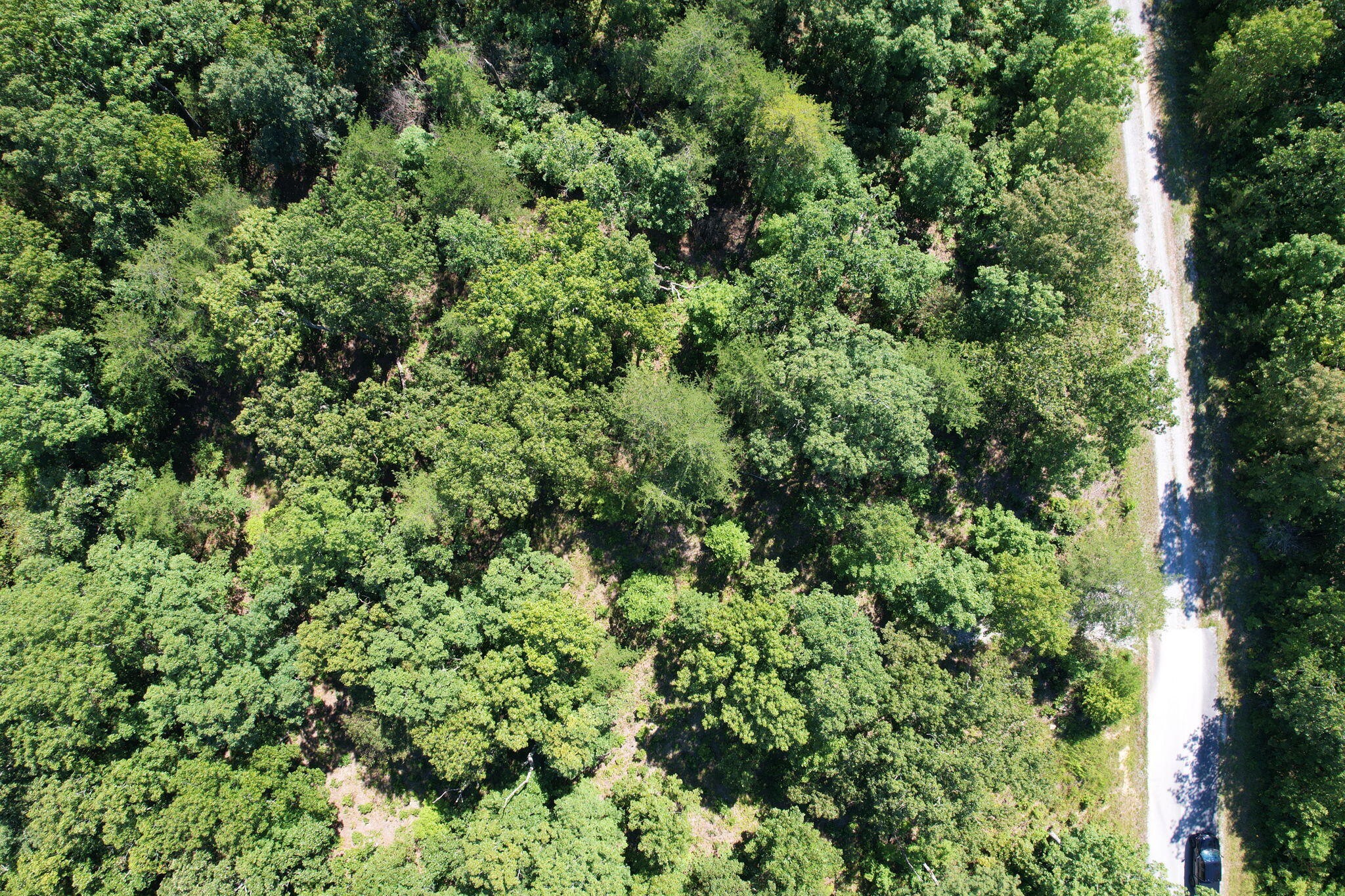 0 Big Bluff View Road Property Photo 5