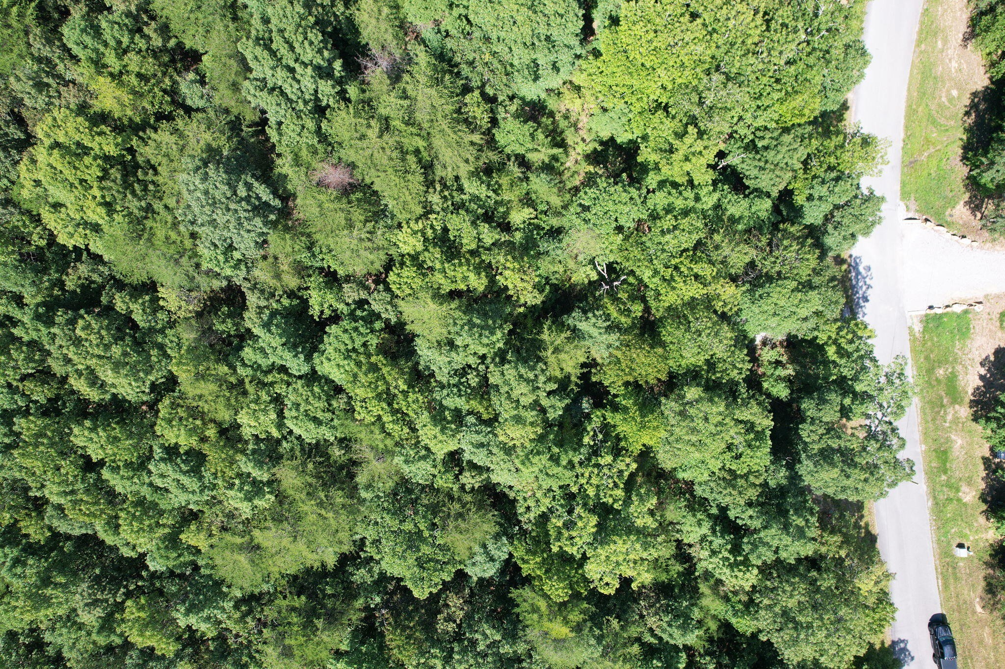 0 Gray Rock Vw Property Photo 1