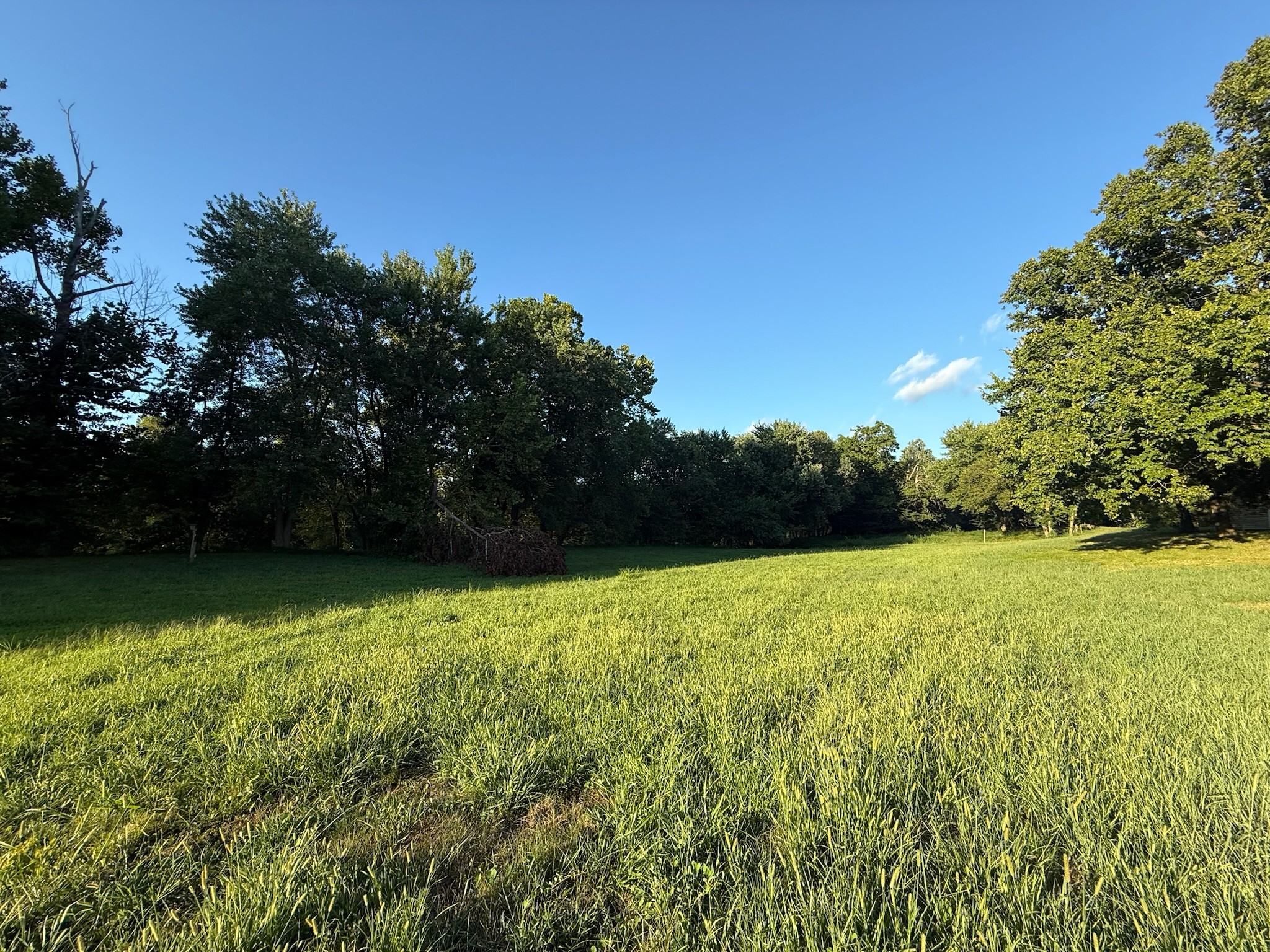 17541 Rangers Landing Rd Property Photo 16