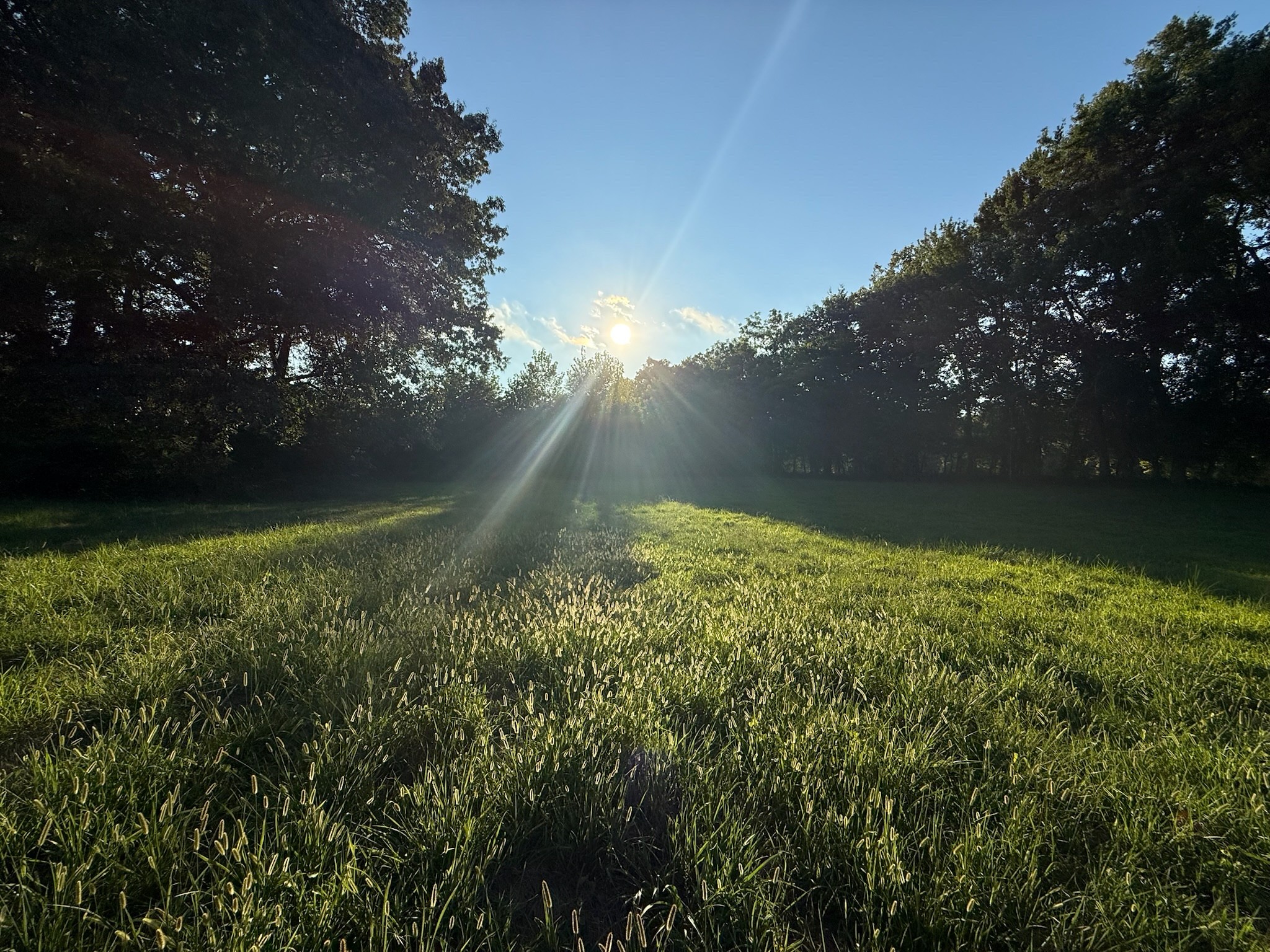 17541 Rangers Landing Rd Property Photo 17