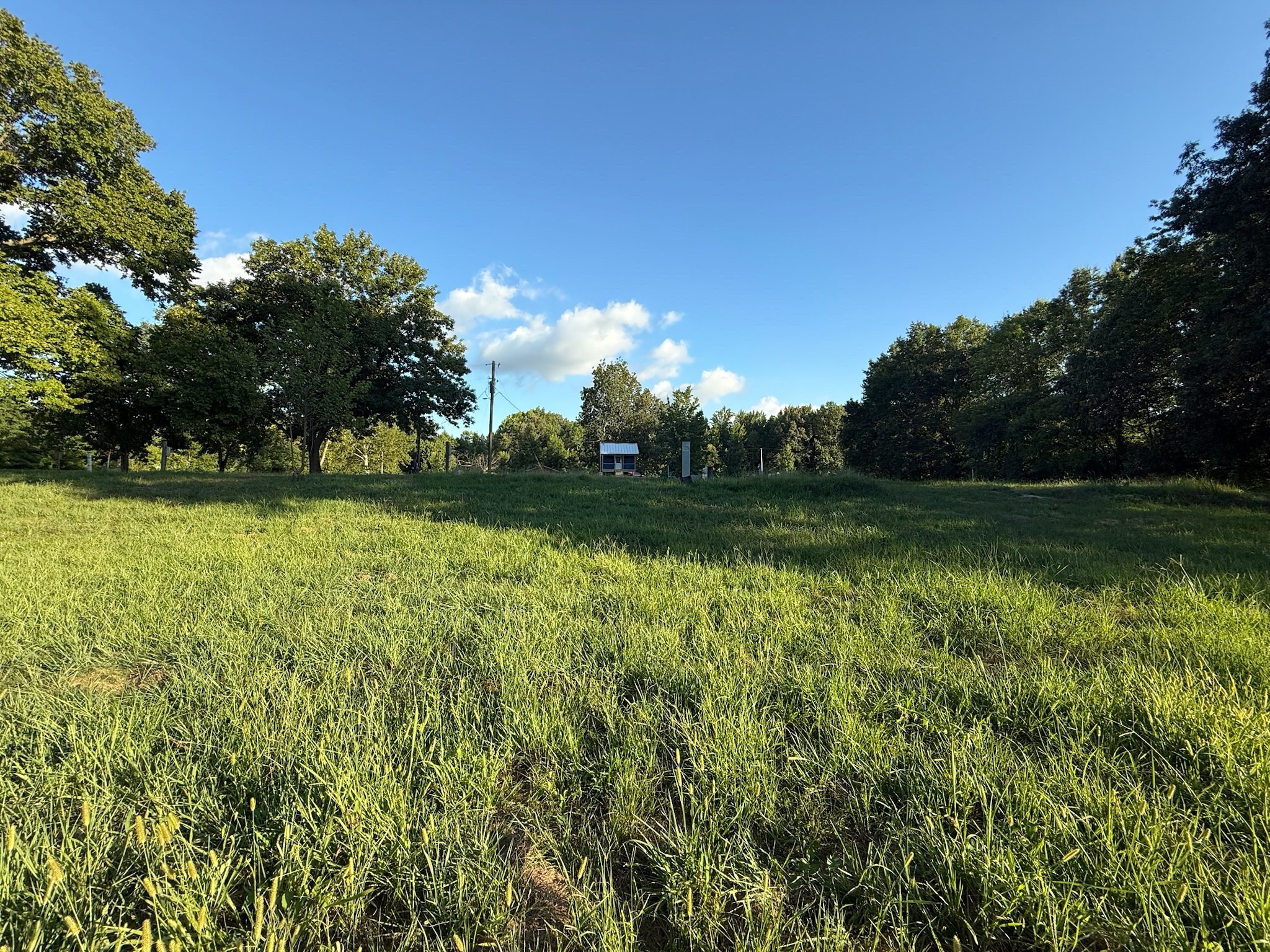 17541 Rangers Landing Rd Property Photo 18