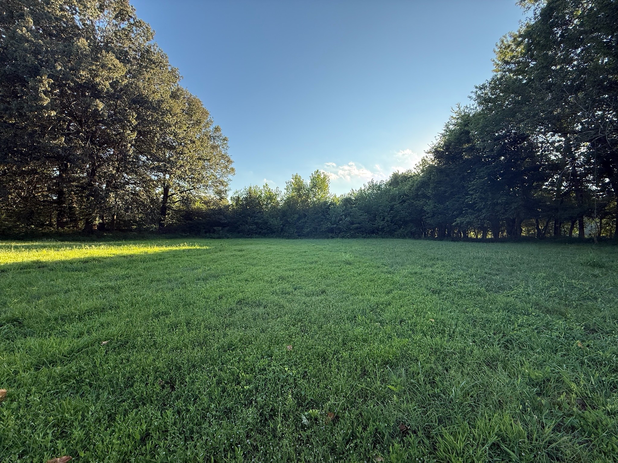 17541 Rangers Landing Rd Property Photo 19