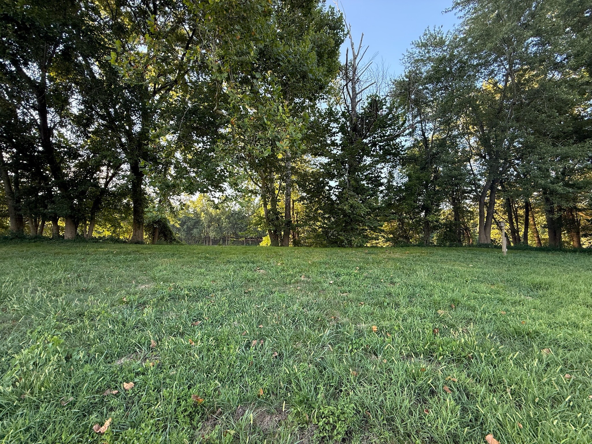 17541 Rangers Landing Rd Property Photo 20