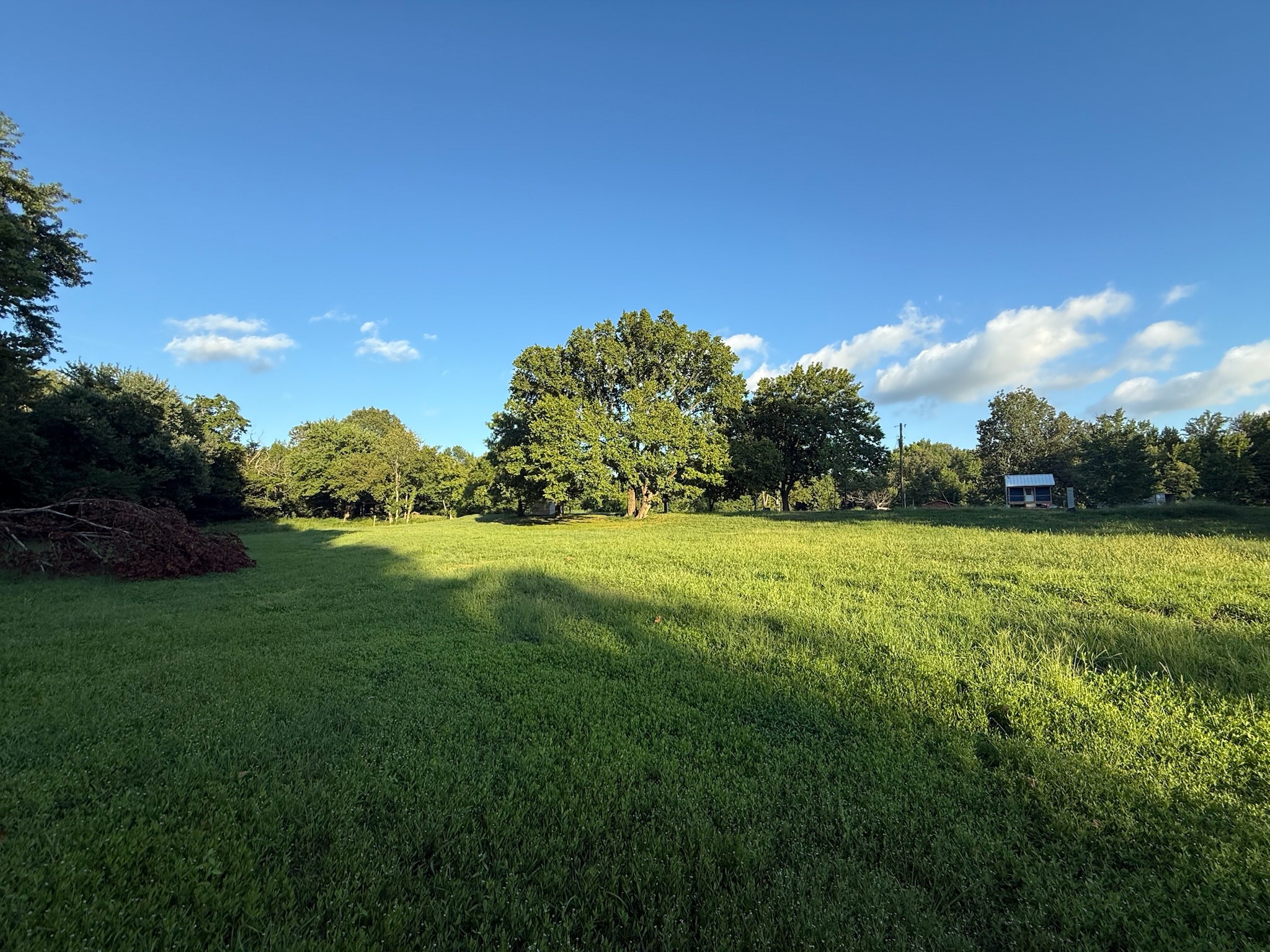 17541 Rangers Landing Rd Property Photo 22