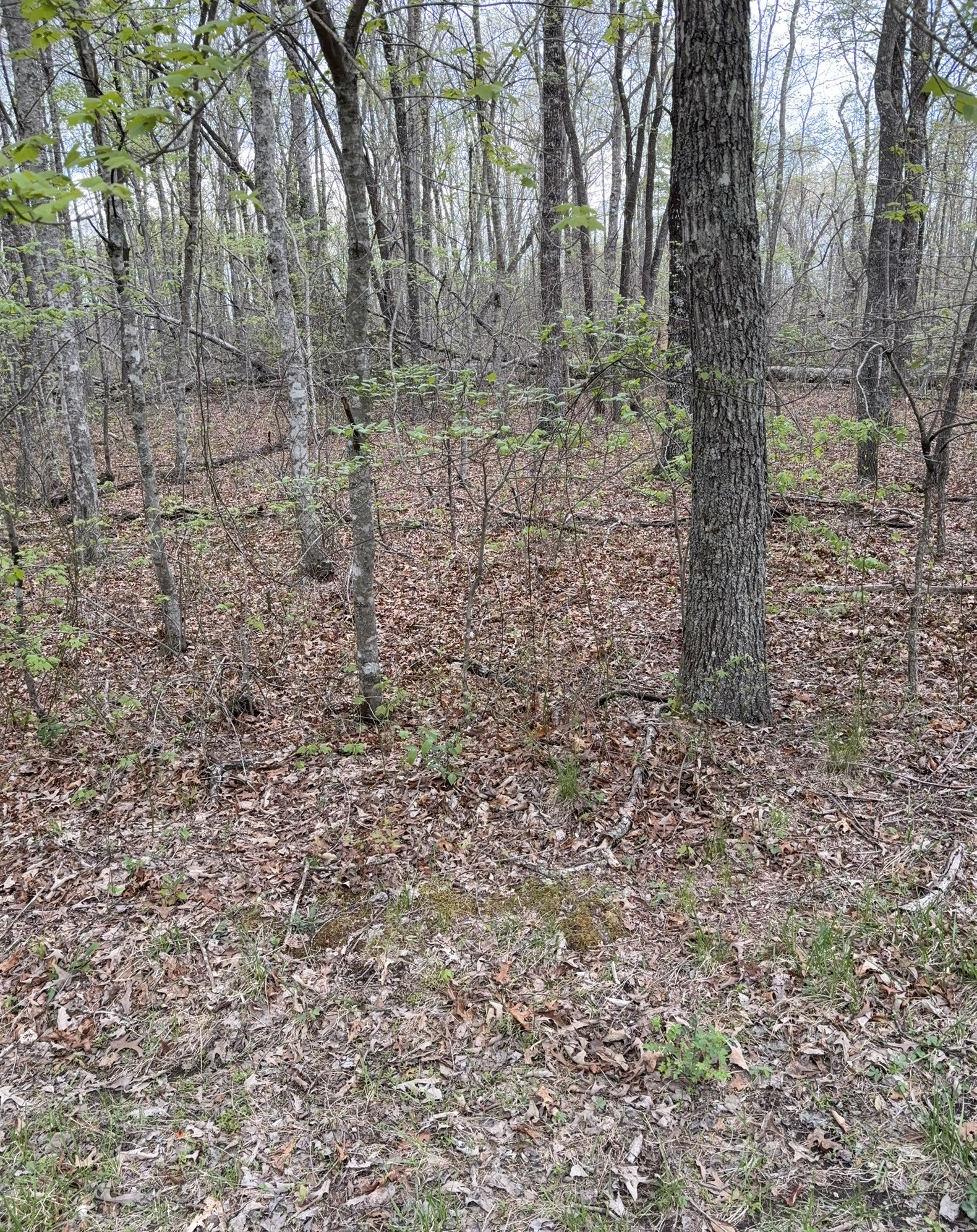 9 Cumberland Lakes Drive Property Photo 2