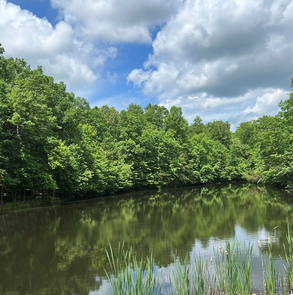 9 Cumberland Lakes Drive Property Photo 4