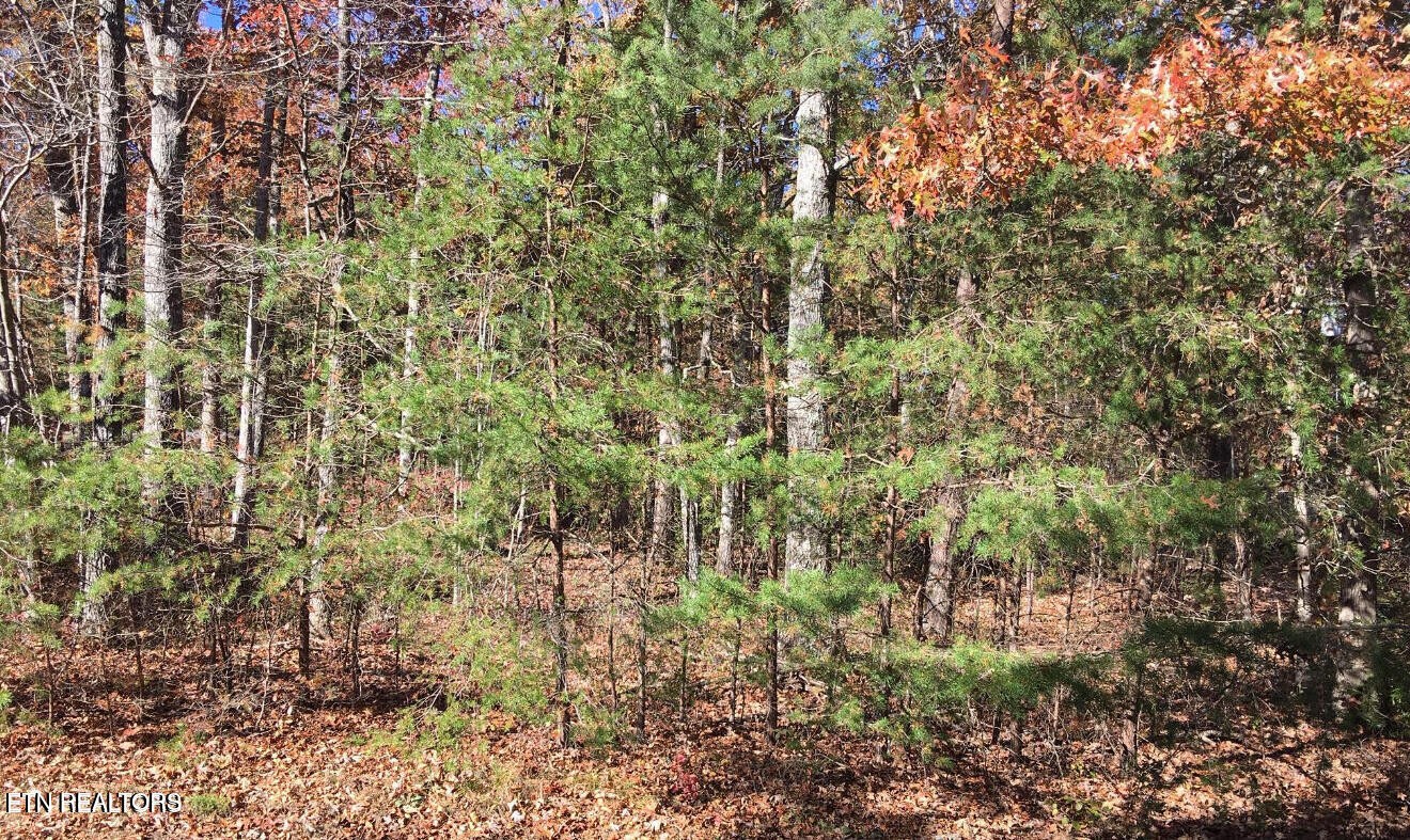 129 Monticello Lane Property Photo 2