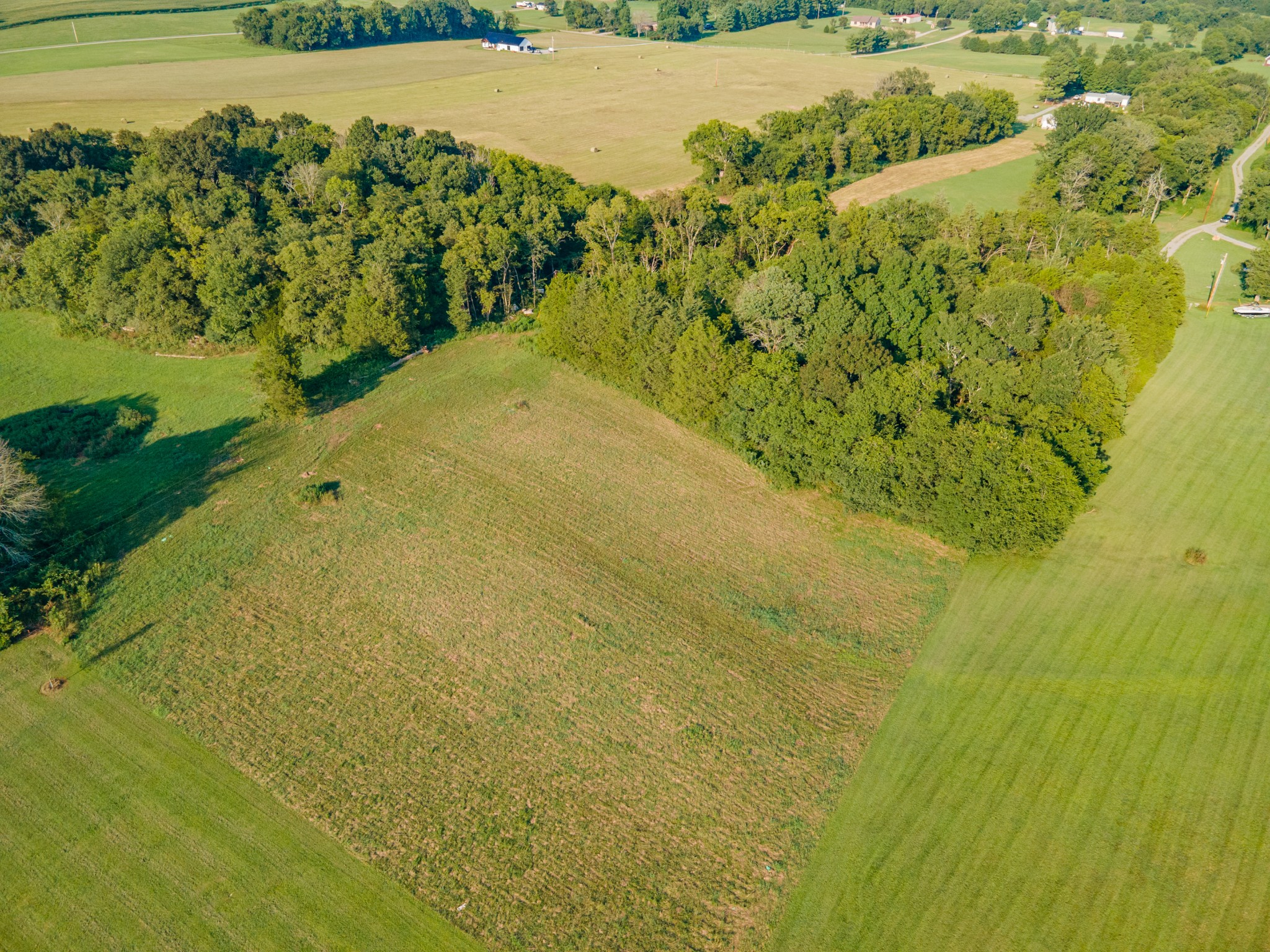 3380 Mealer Rd Property Photo 10