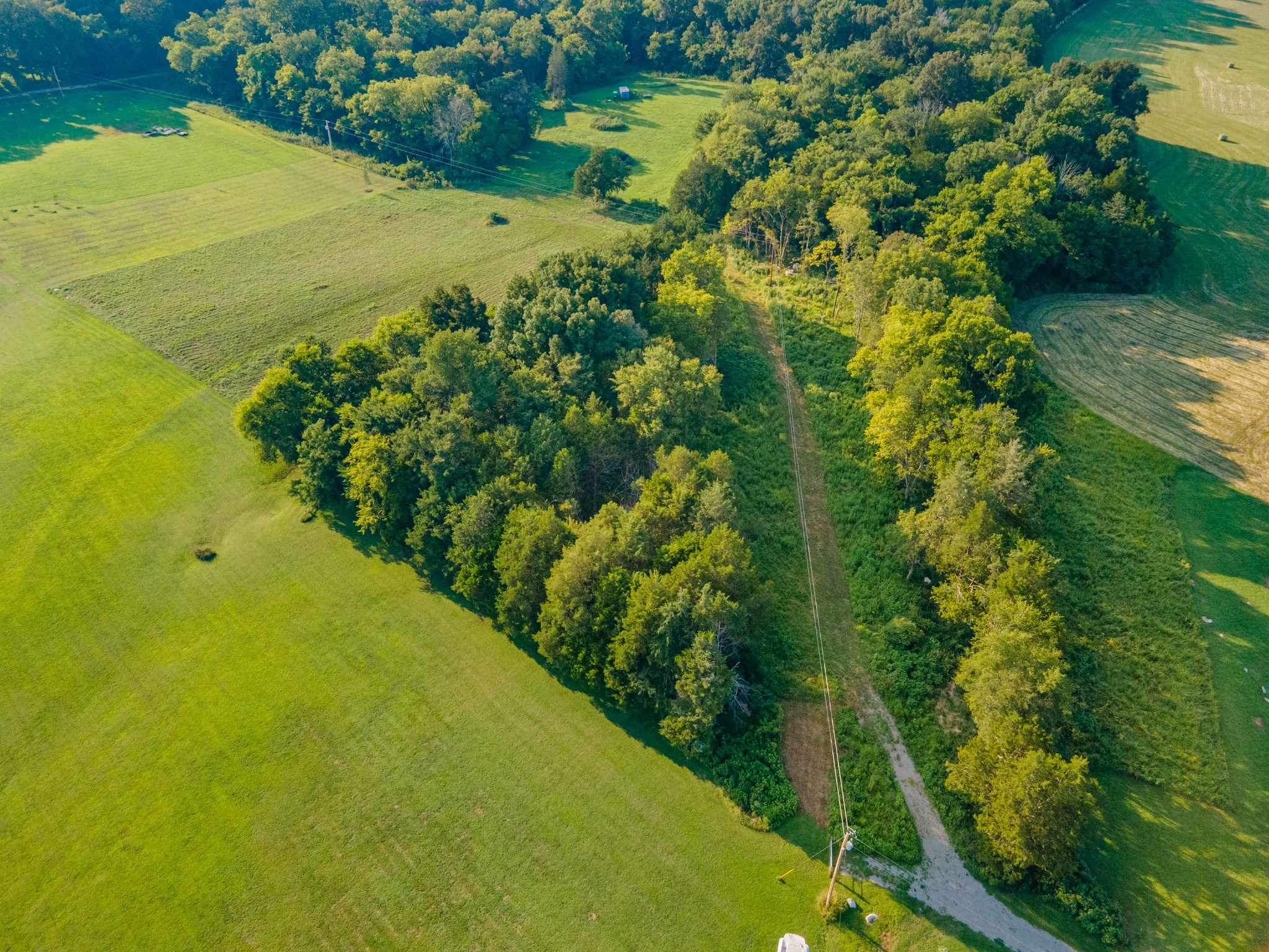 3380 Mealer Rd Property Photo 12