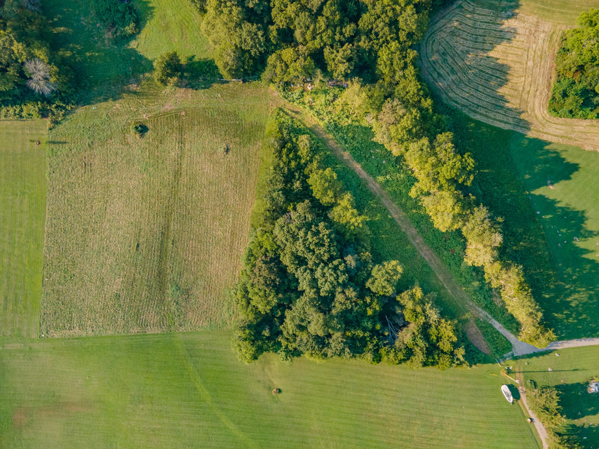 3380 Mealer Rd Property Photo 14