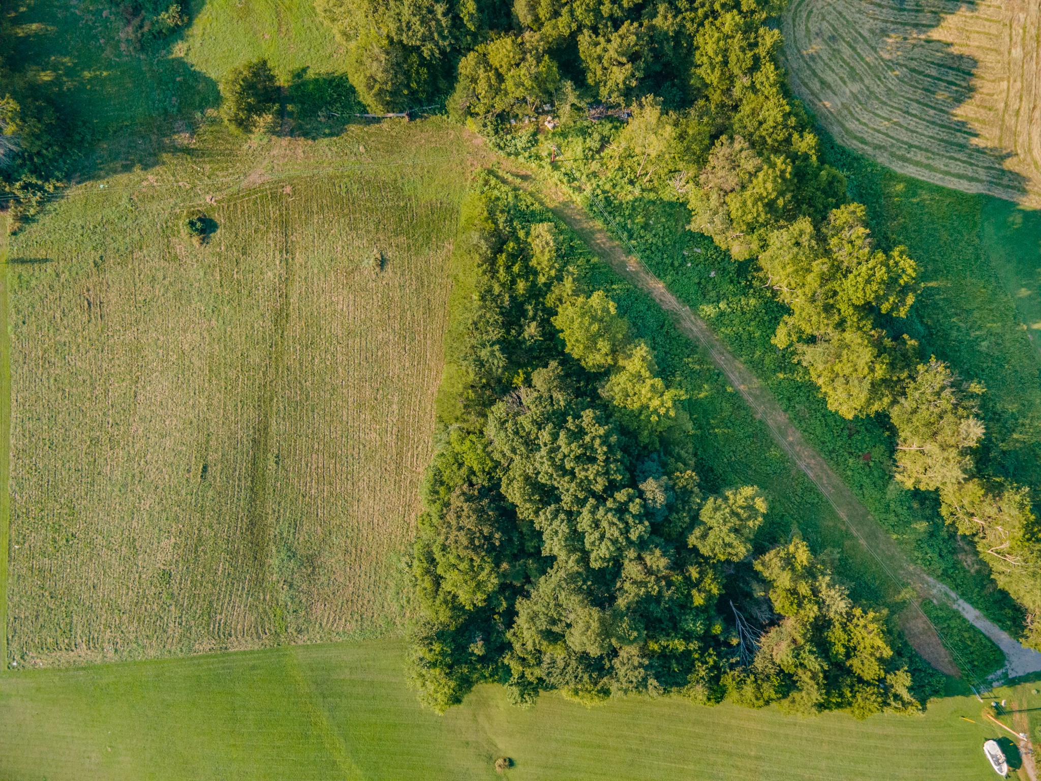 3380 Mealer Rd Property Photo 15