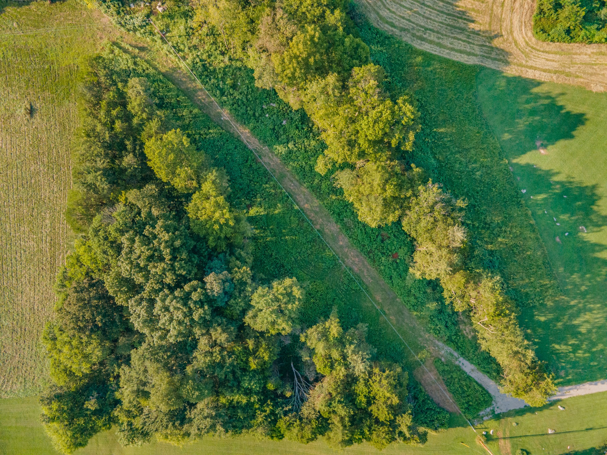 3380 Mealer Rd Property Photo 16