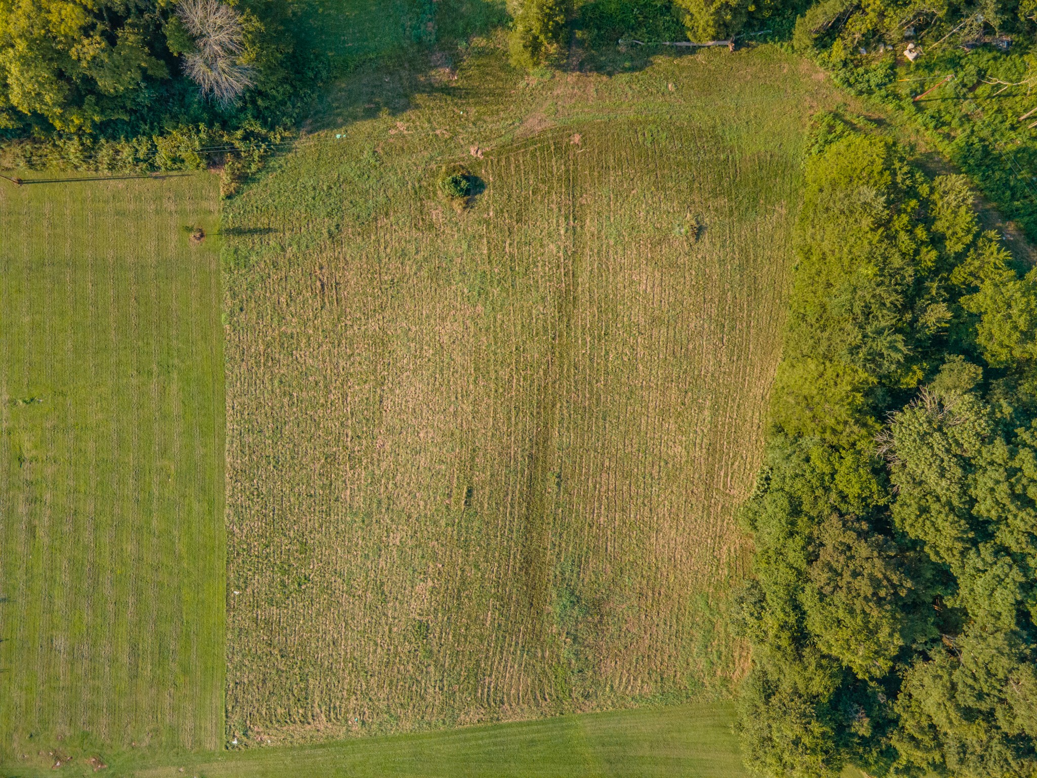 3380 Mealer Rd Property Photo 17