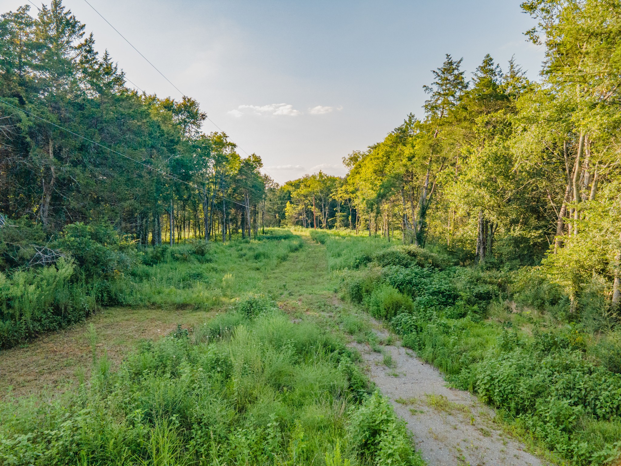 3380 Mealer Rd Property Photo 19