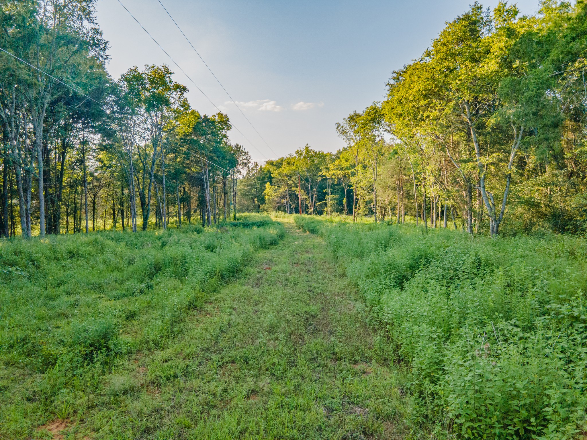 3380 Mealer Rd Property Photo 20