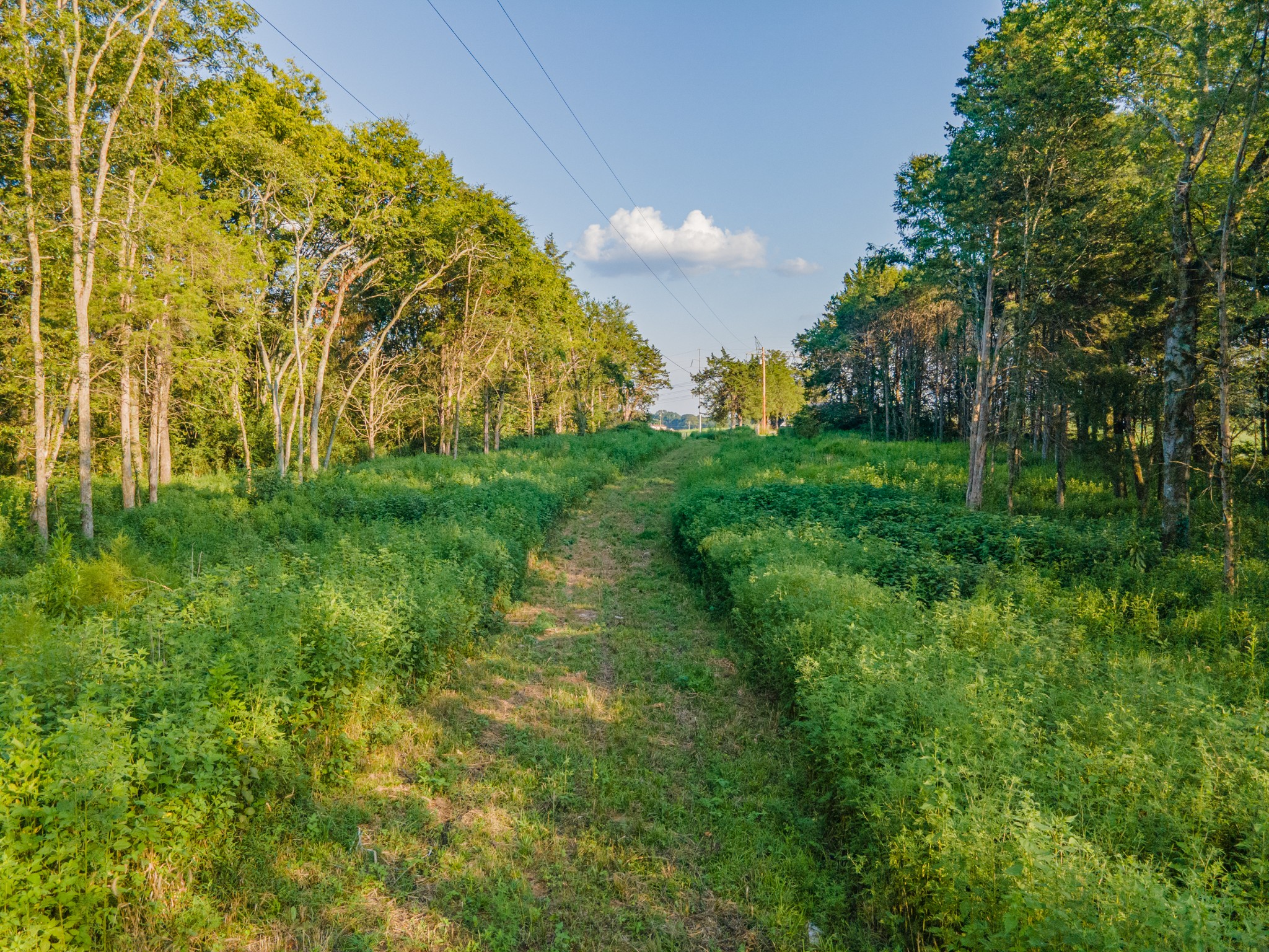 3380 Mealer Rd Property Photo 21