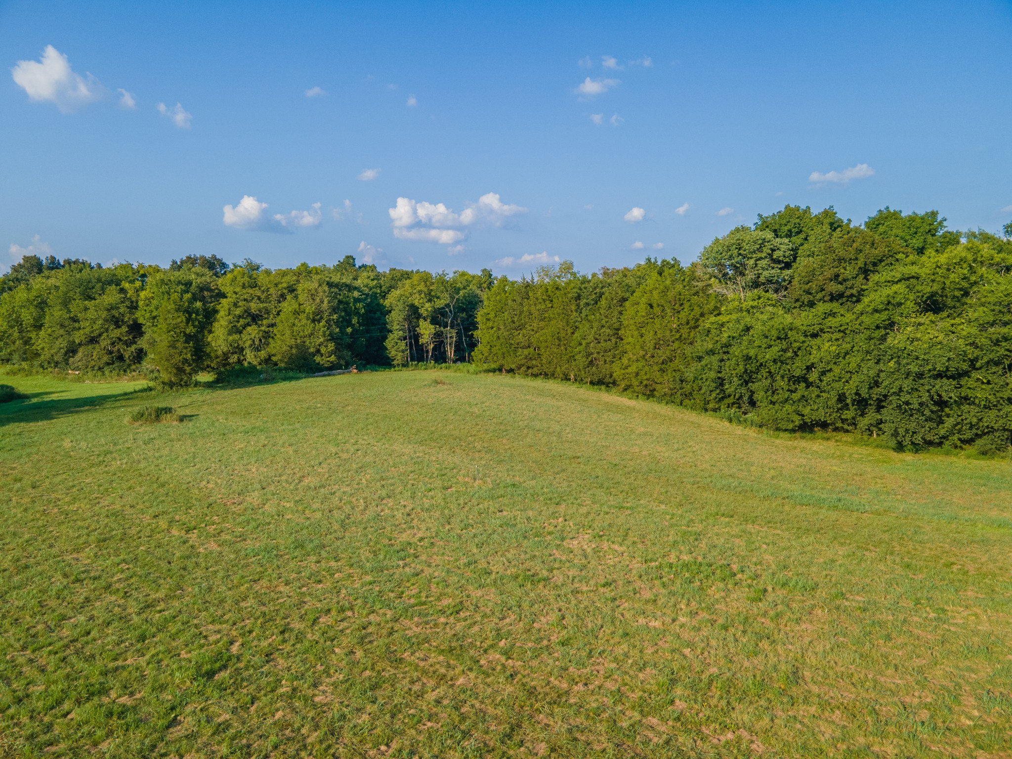 3380 Mealer Rd Property Photo 22