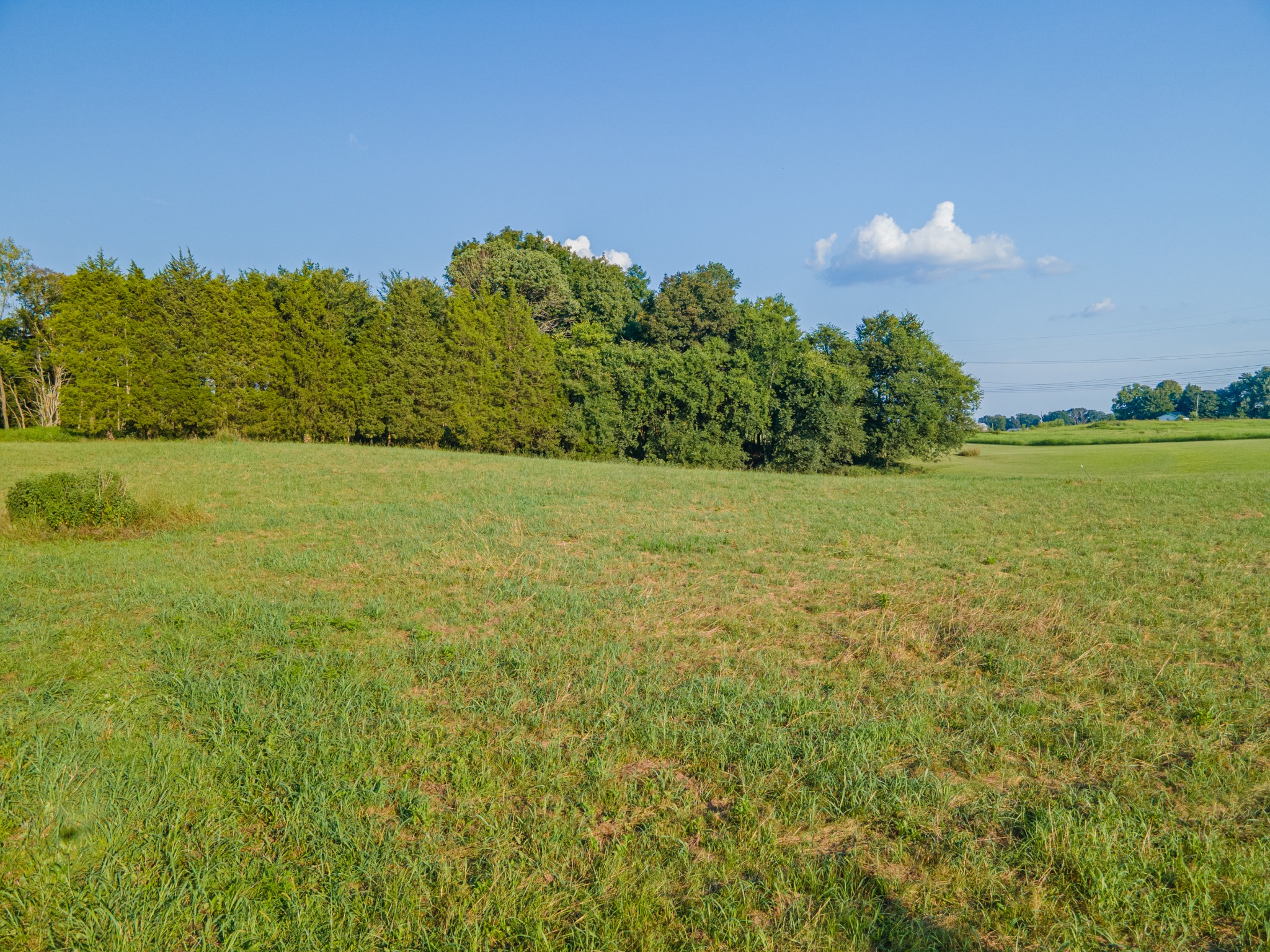 3380 Mealer Rd Property Photo 23