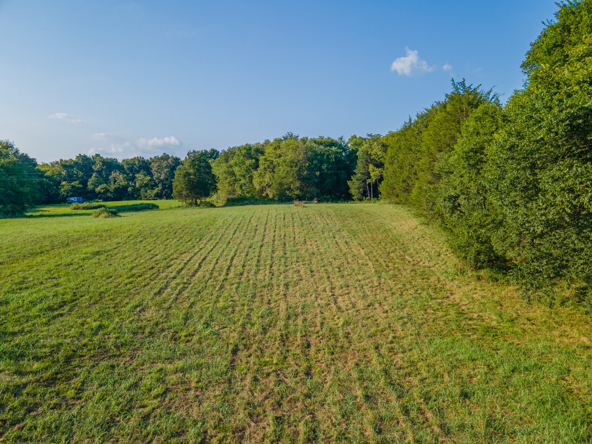 3380 Mealer Rd Property Photo 25