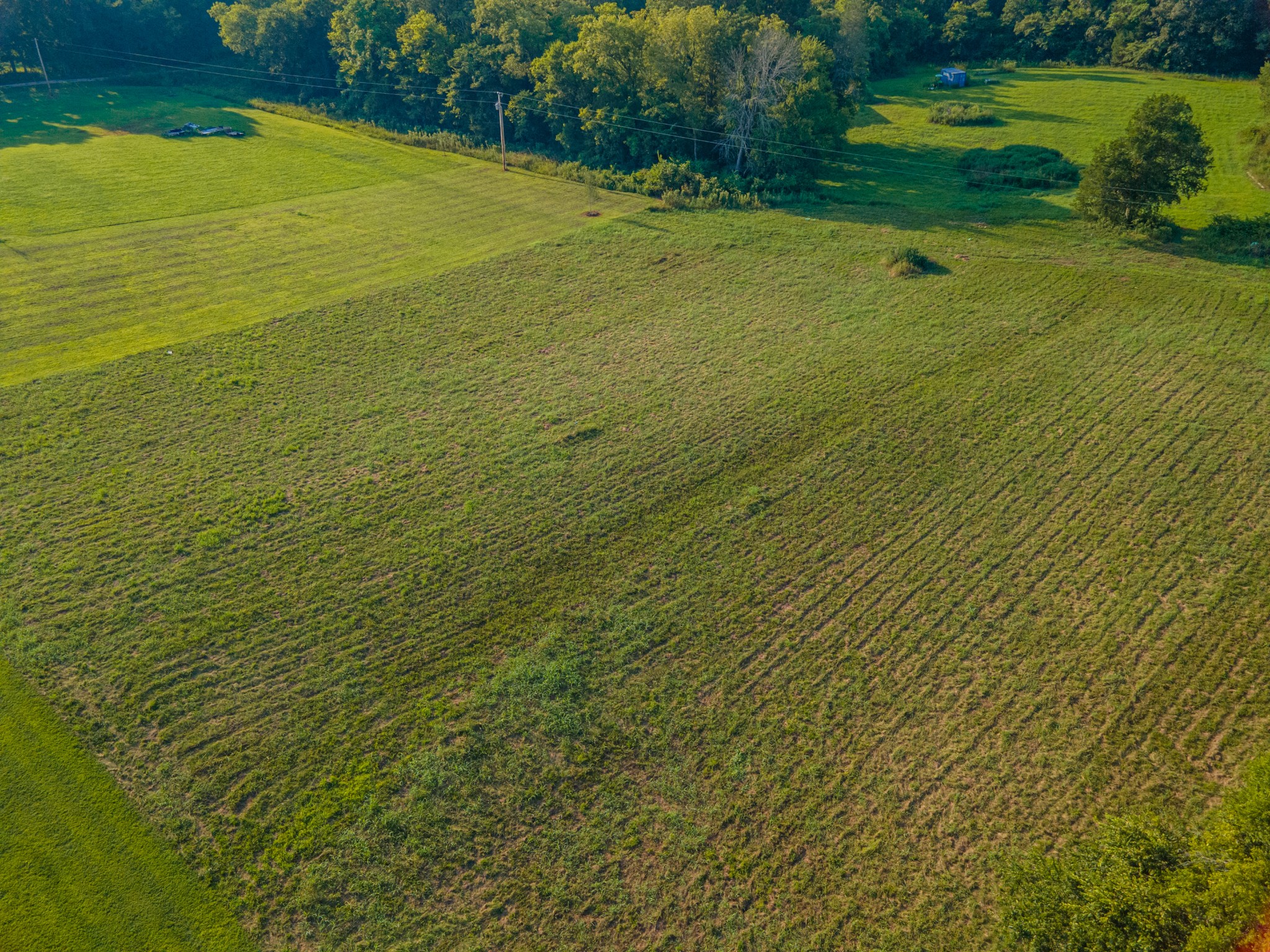 3380 Mealer Rd Property Photo 26