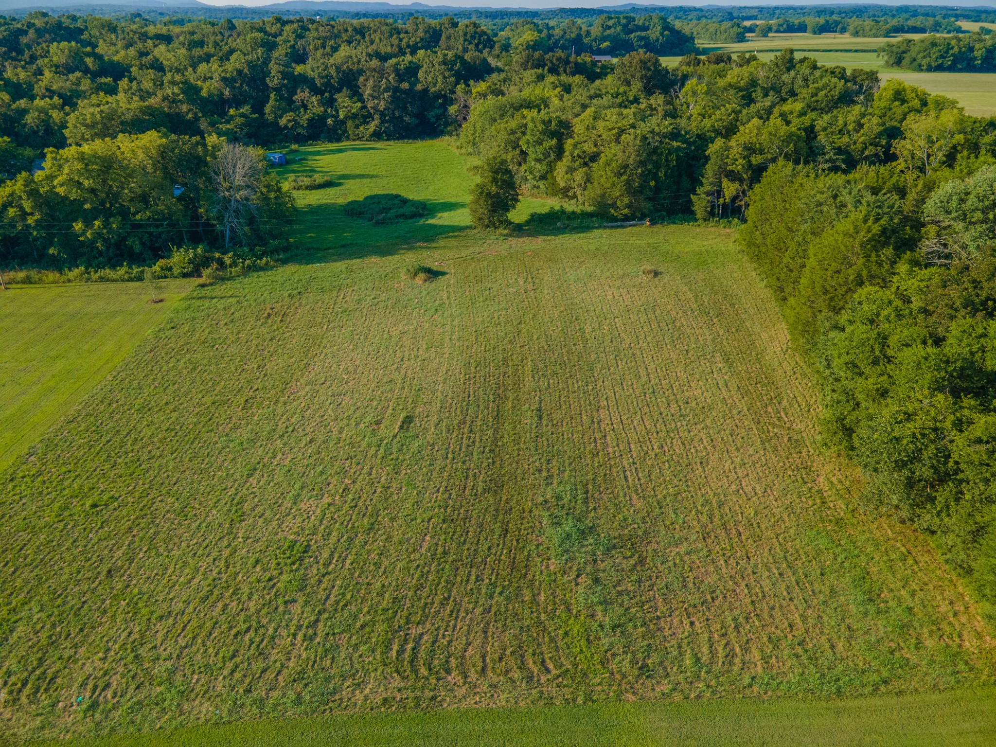 3380 Mealer Rd Property Photo 27