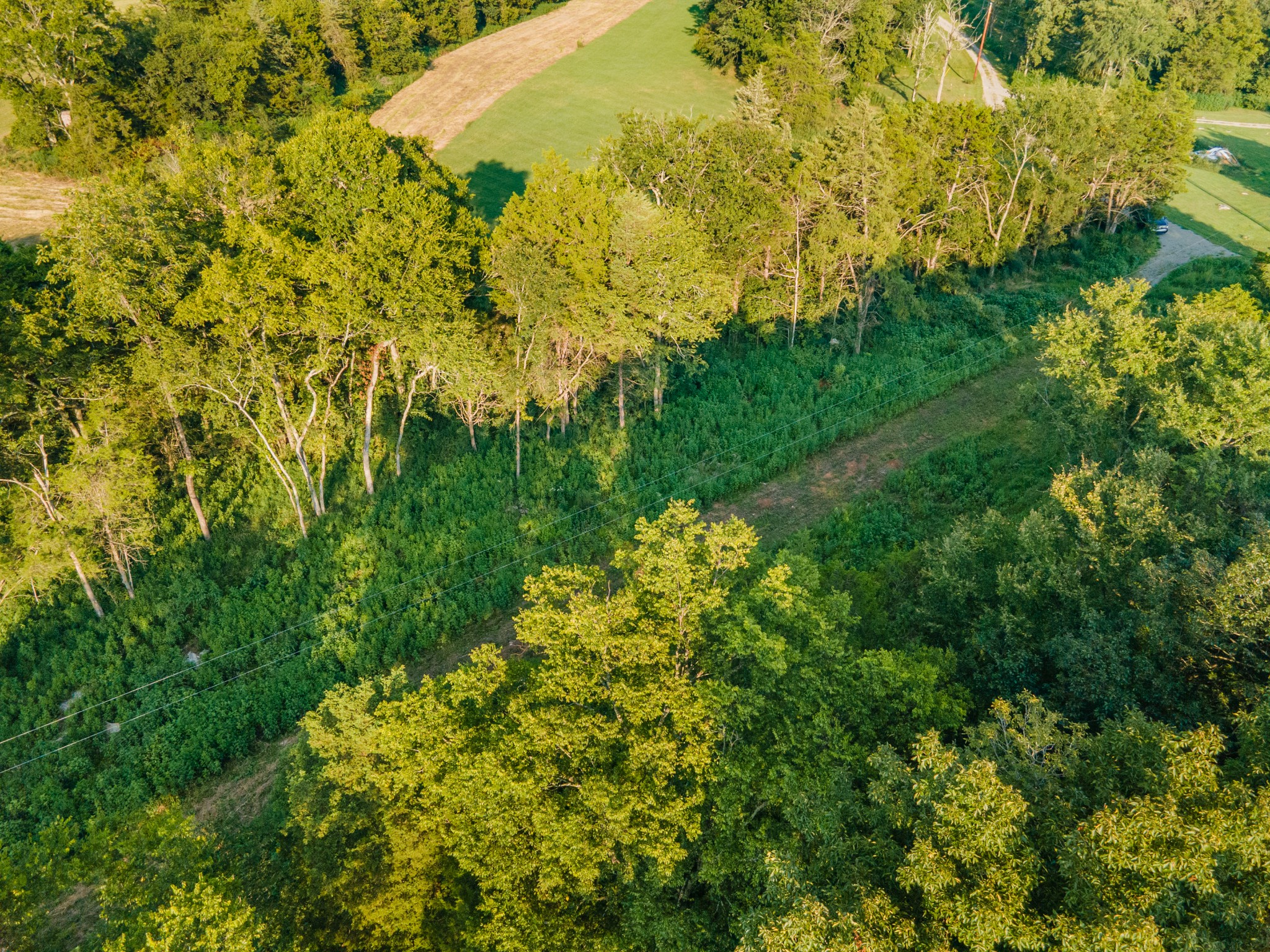 3380 Mealer Rd Property Photo 29