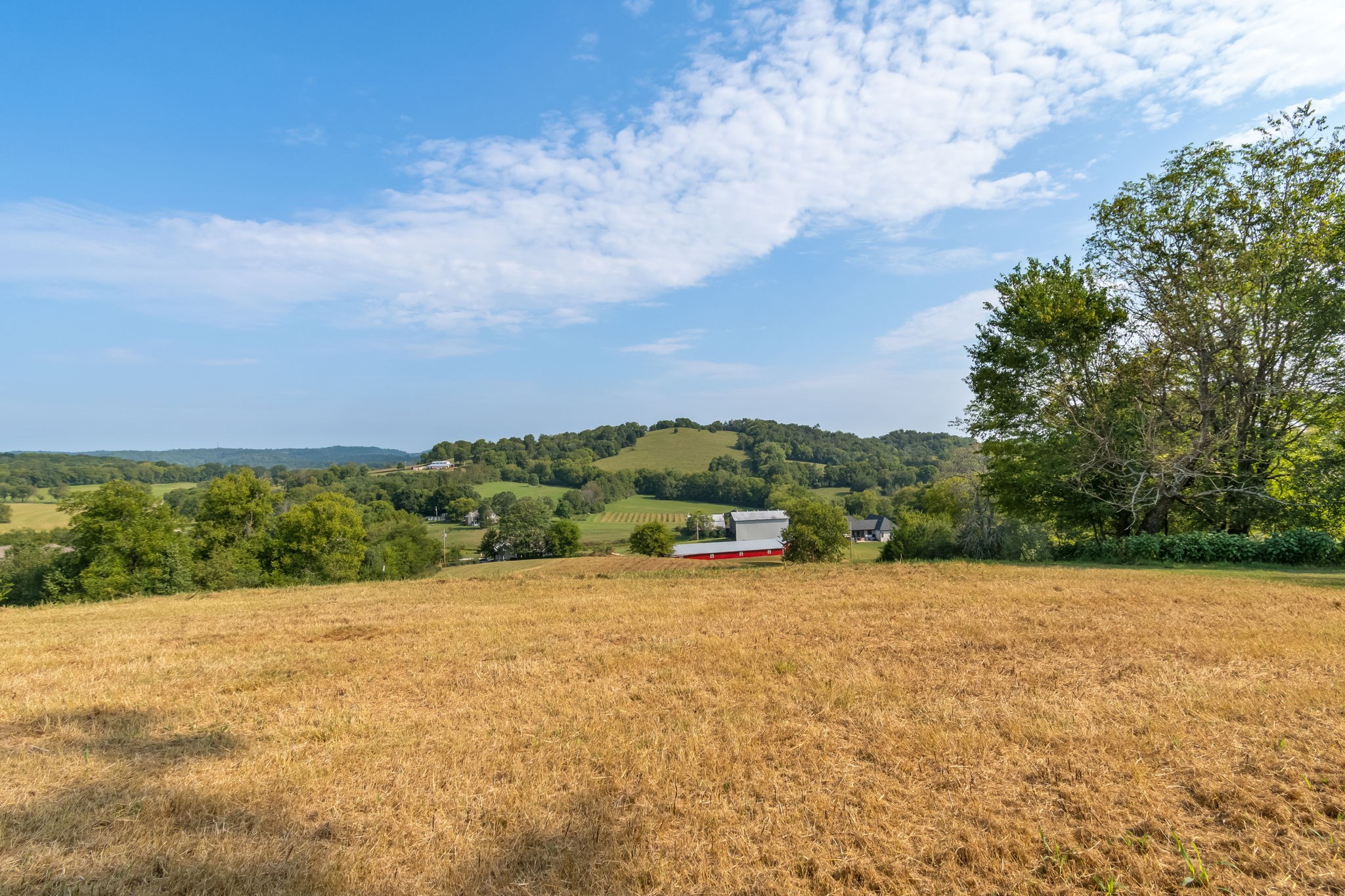 2868 Pullens Mill Road Property Photo 2