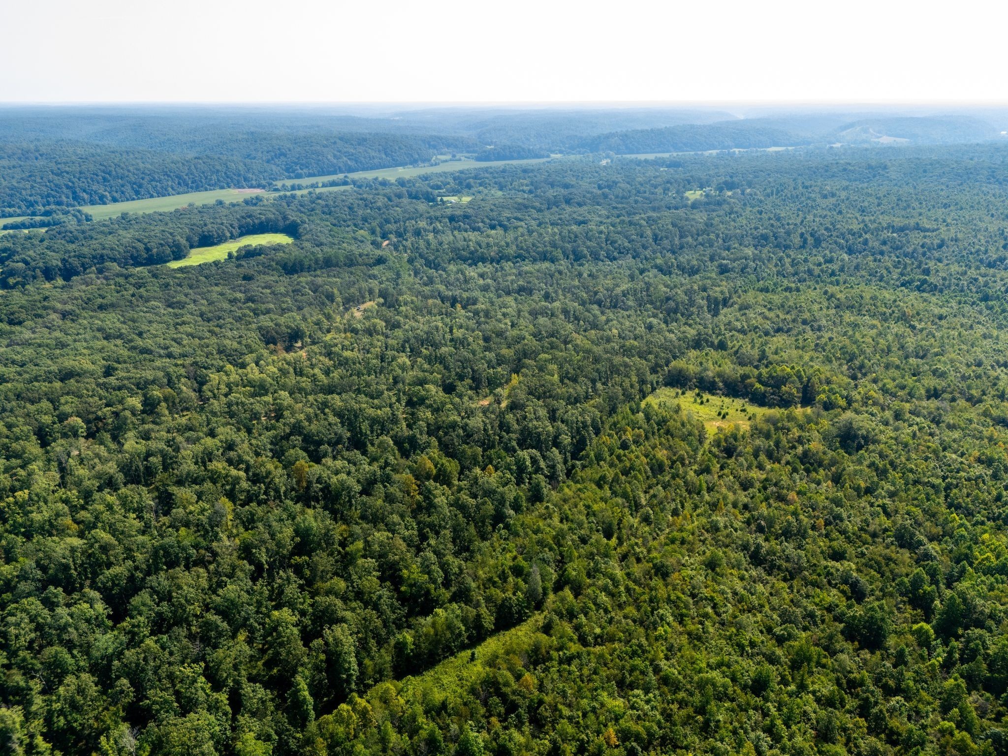 425 Dyer Rd Property Photo 9