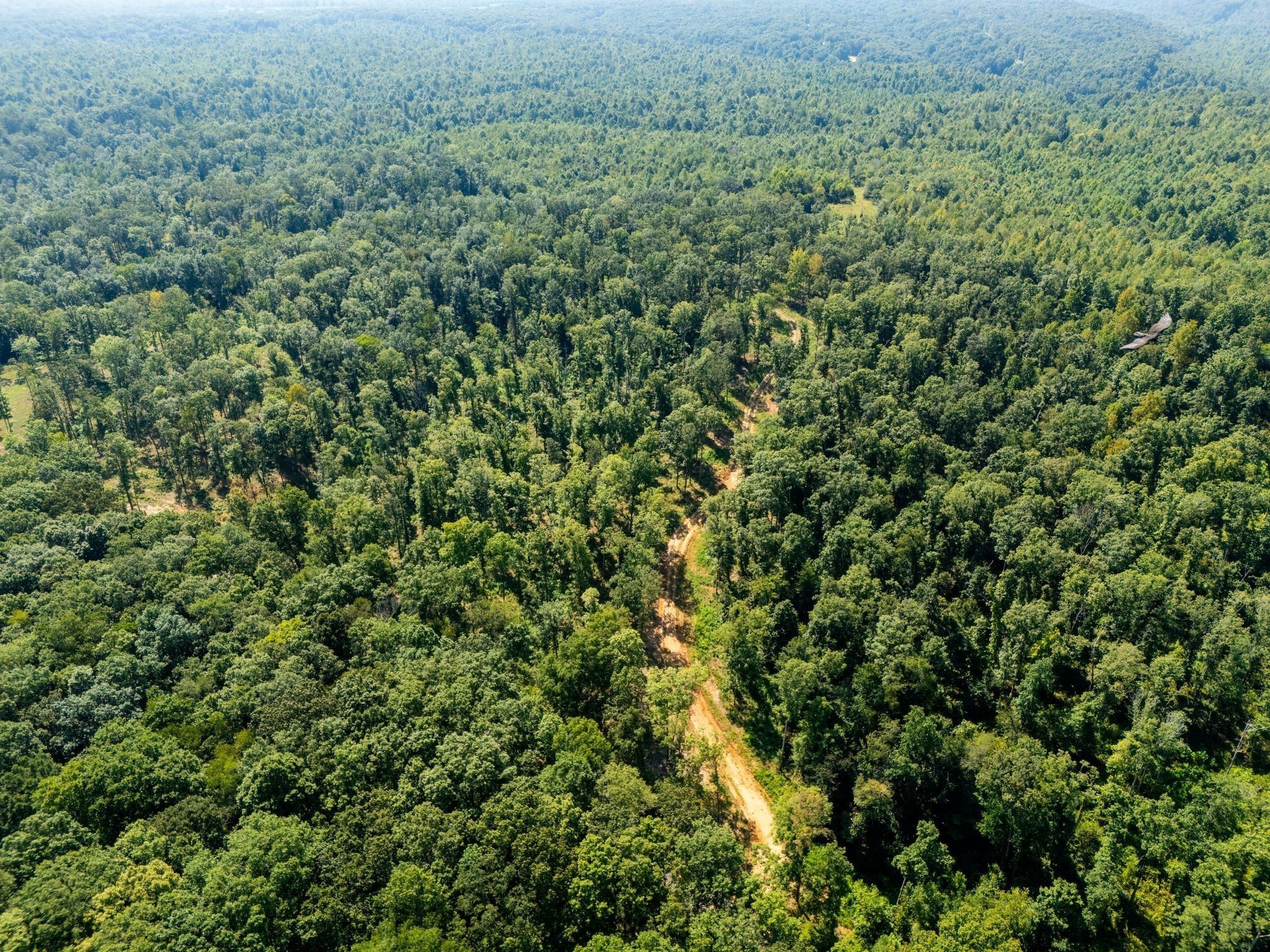 655 Dyer Rd Property Photo 14