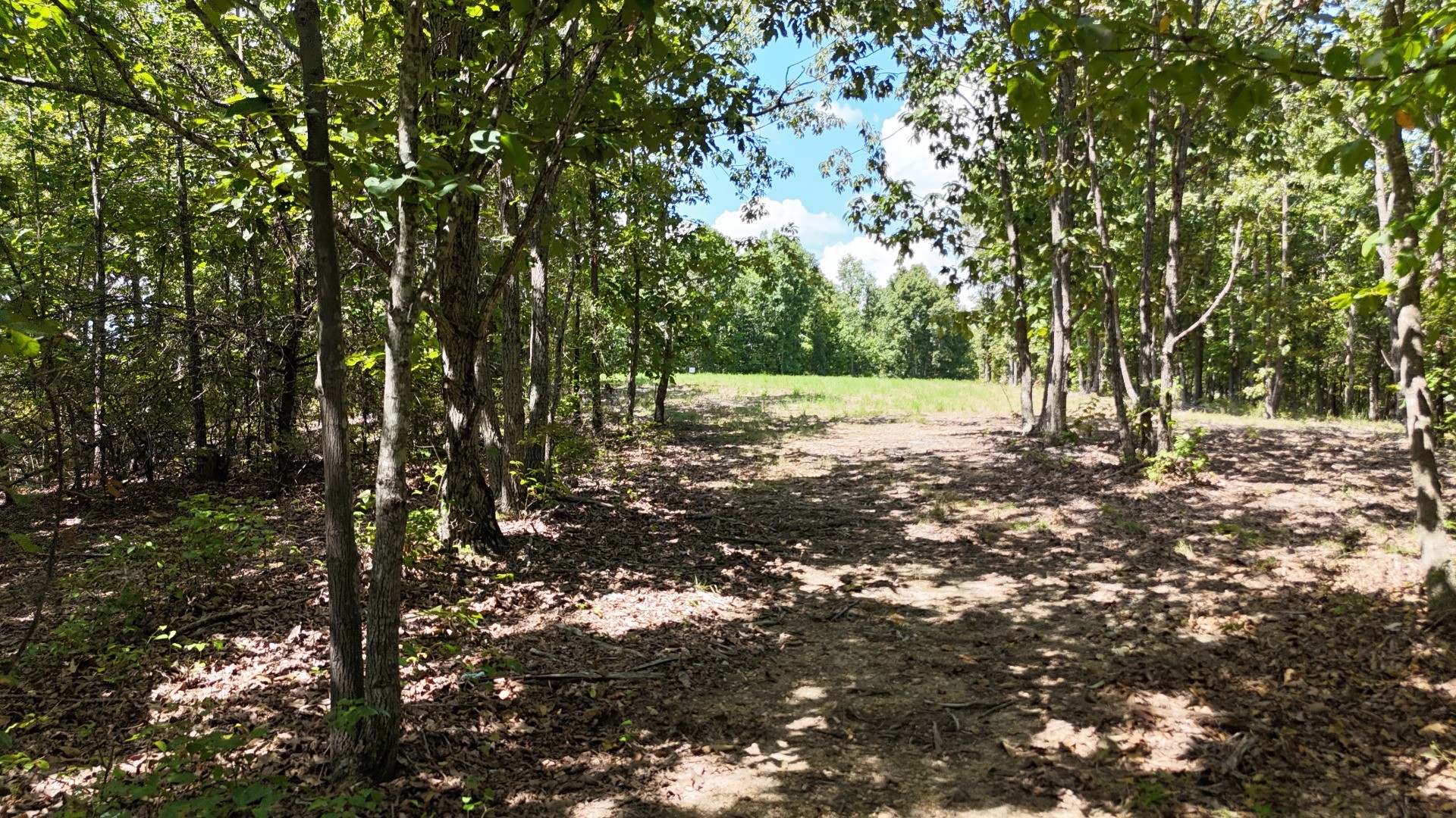 113 Chestnut Dr Property Photo 1